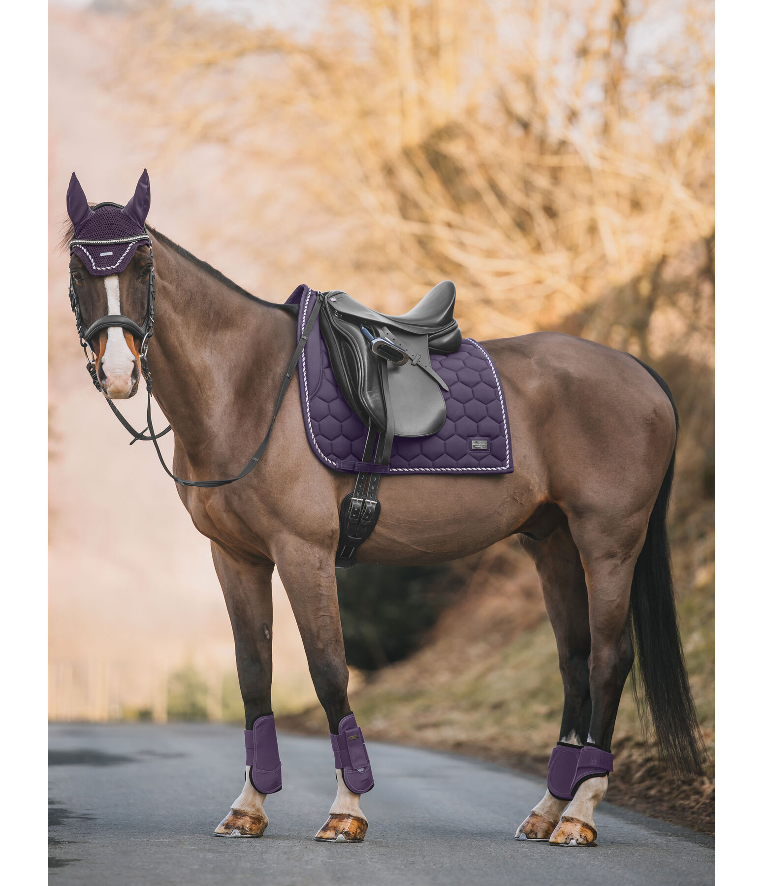 Saddle Pad Sophistication Strapless