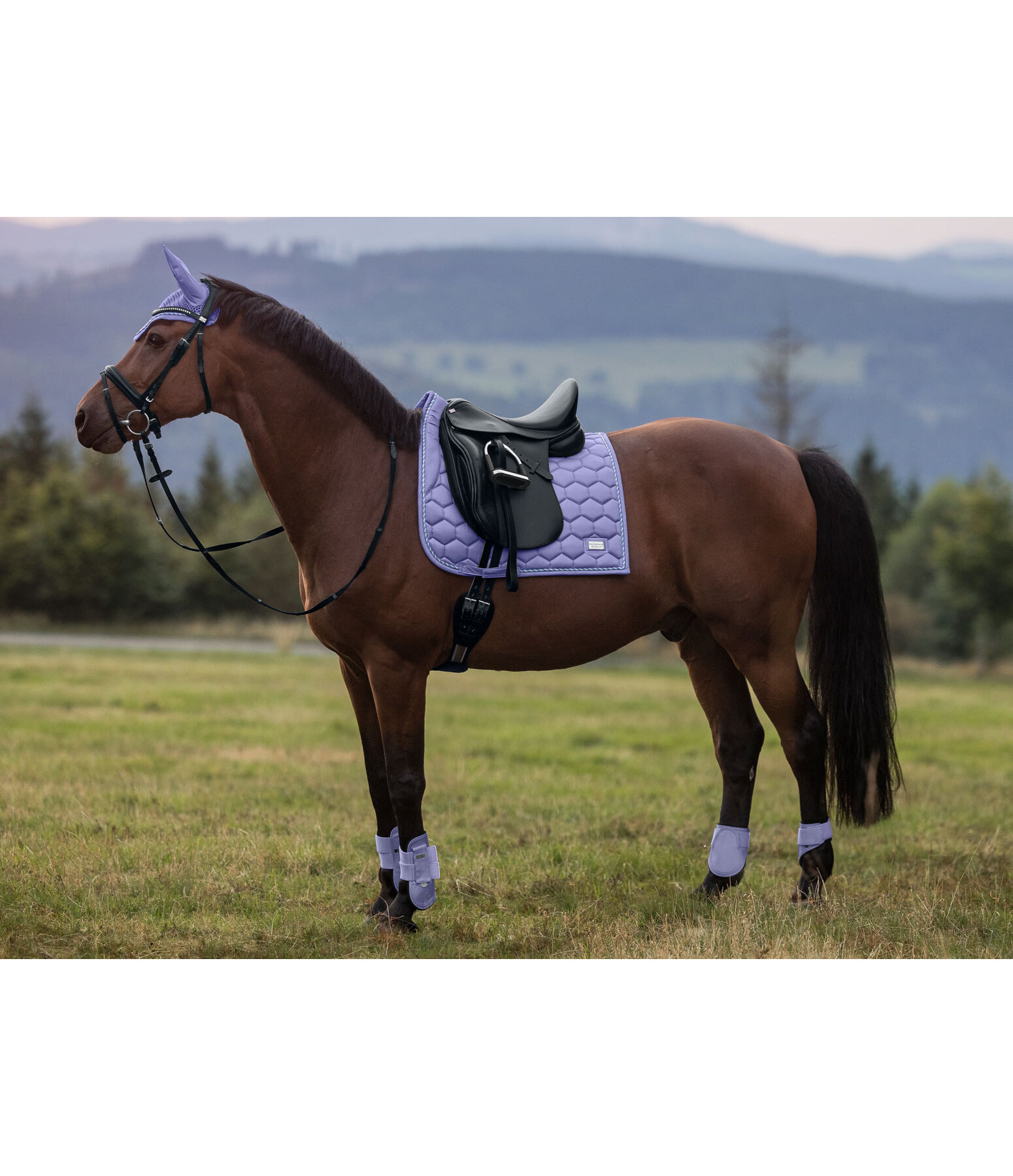 Saddle Pad Sophistication Strapless
