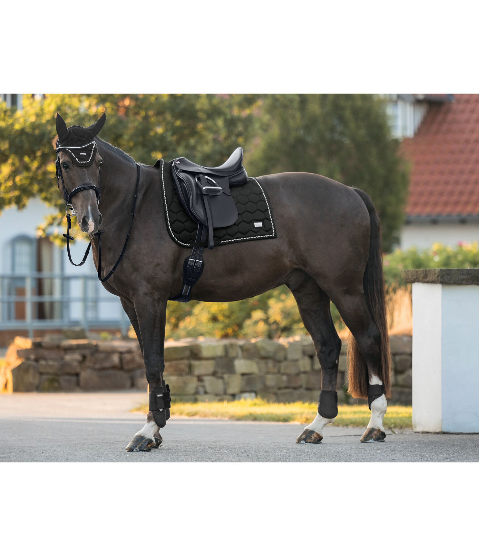 Saddle Pad Sophistication Strapless