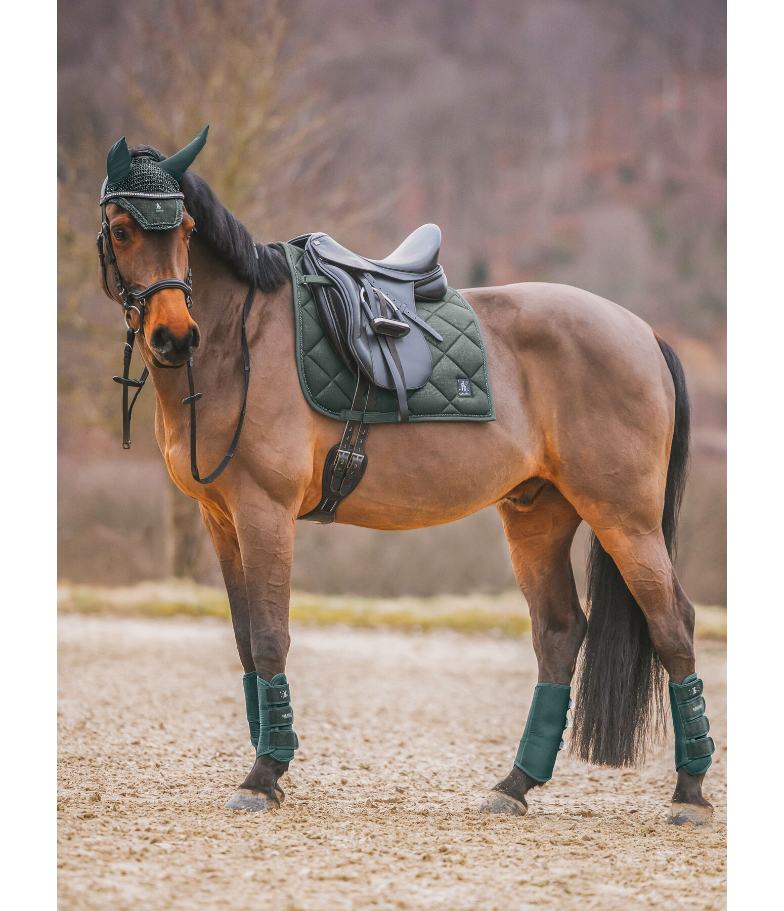Saddle Pad Night Sky