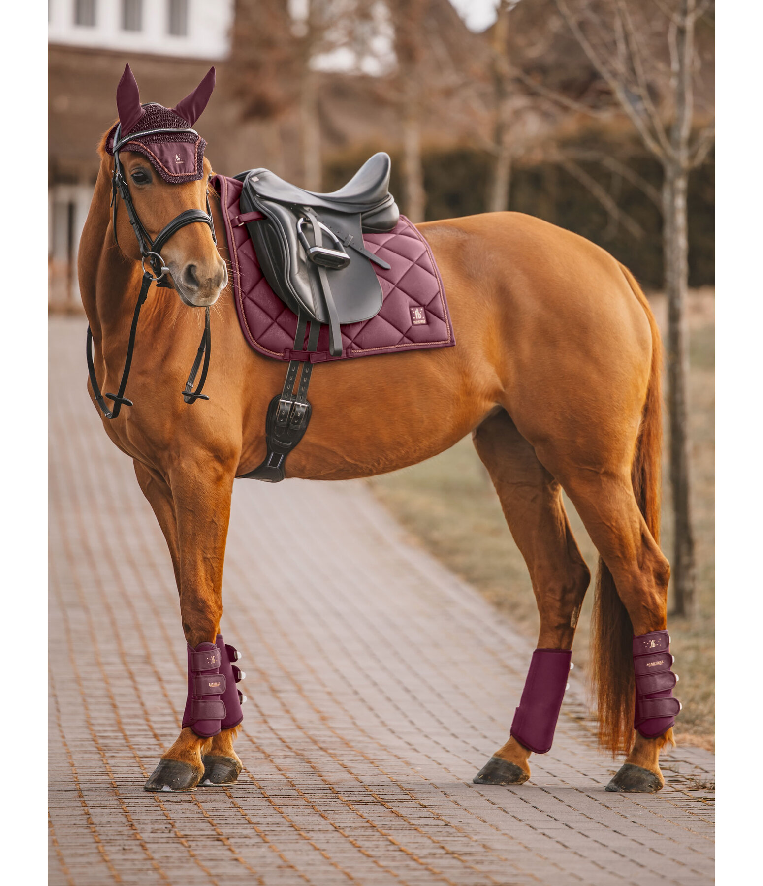 Saddle Pad Night Sky