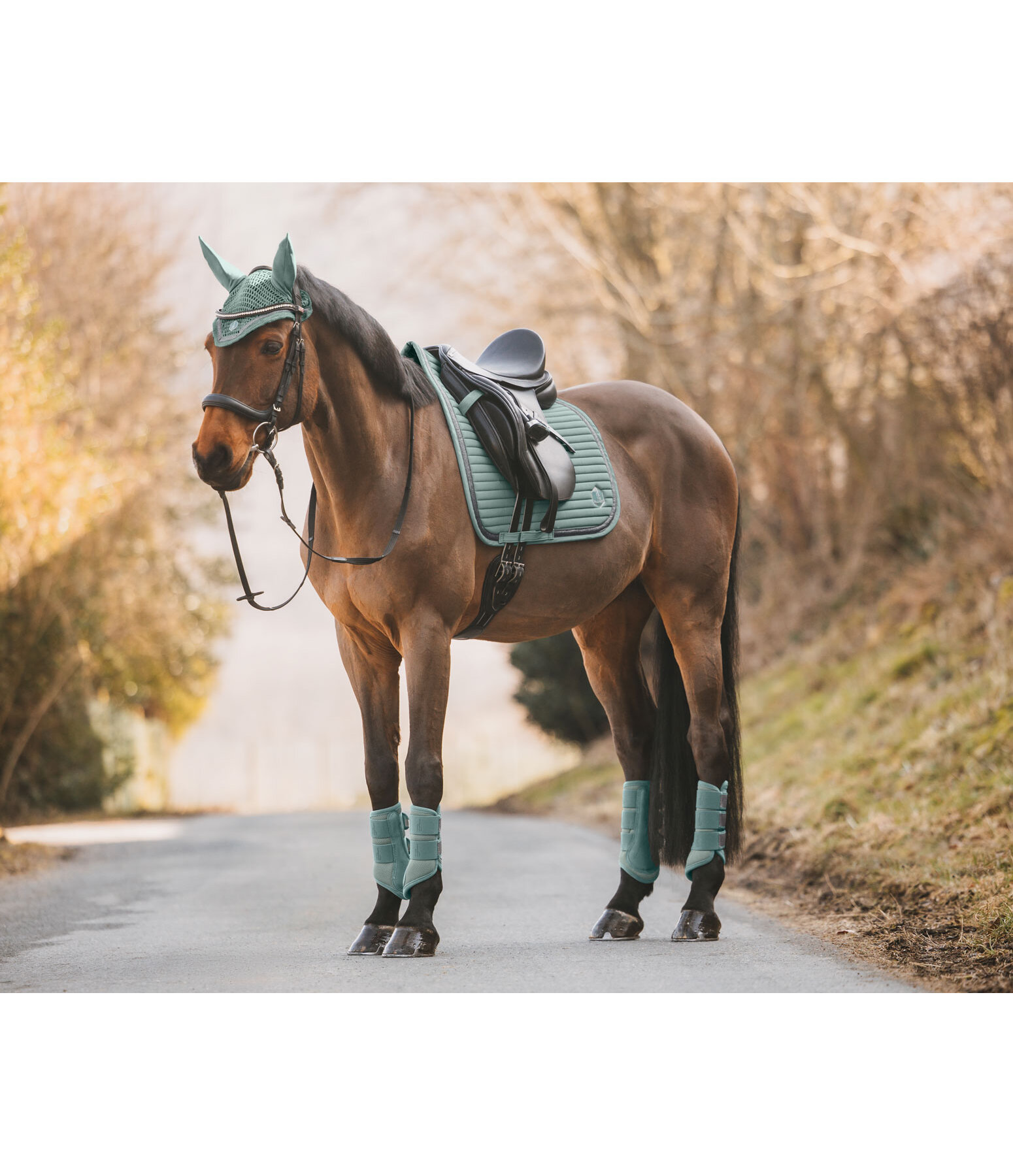 Saddle Pad Glitter