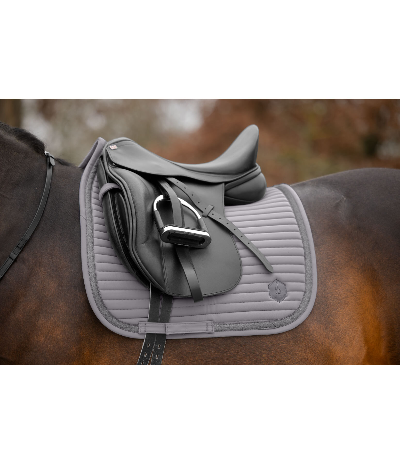 Saddle Pad Glitter
