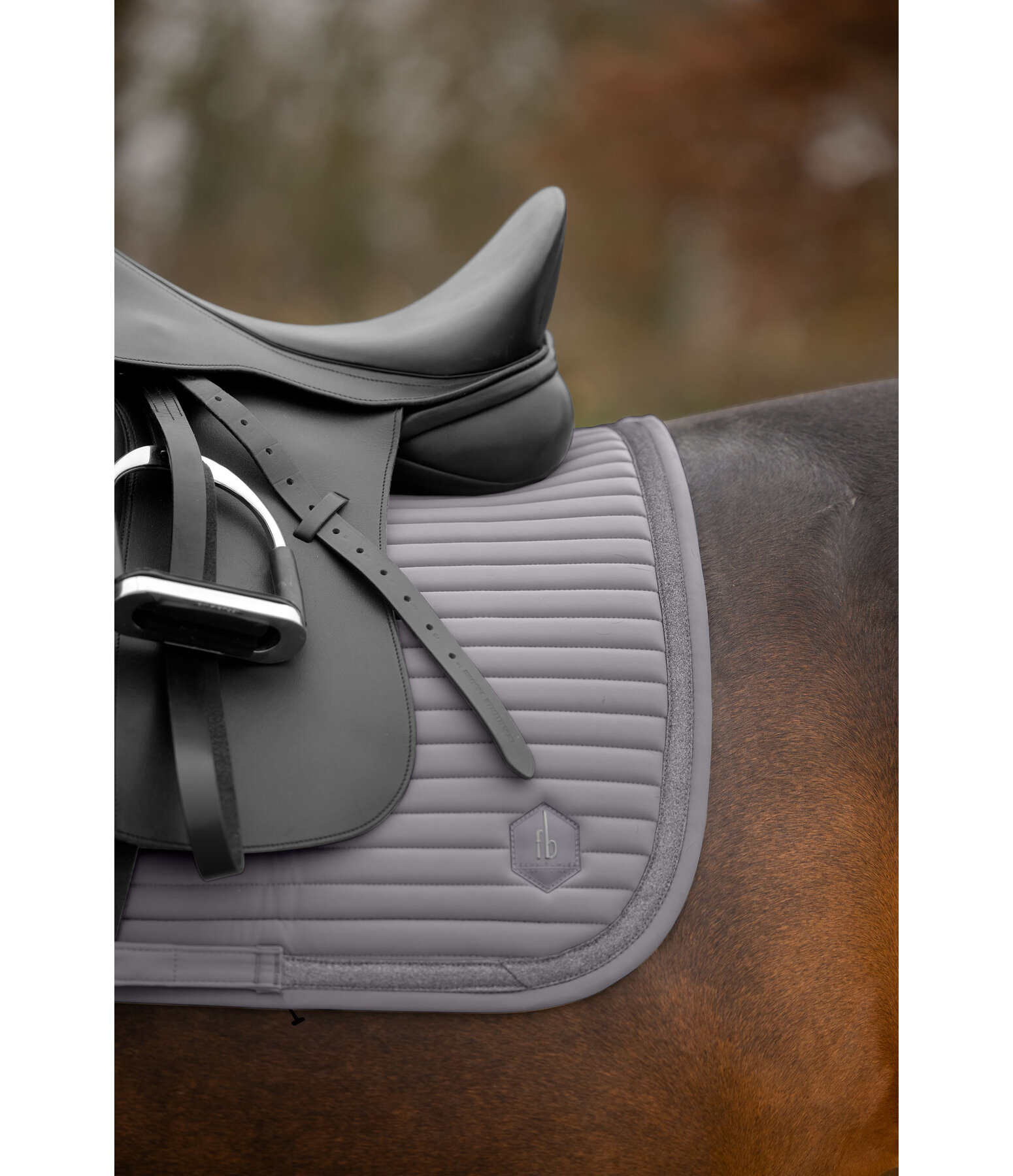 Saddle Pad Glitter