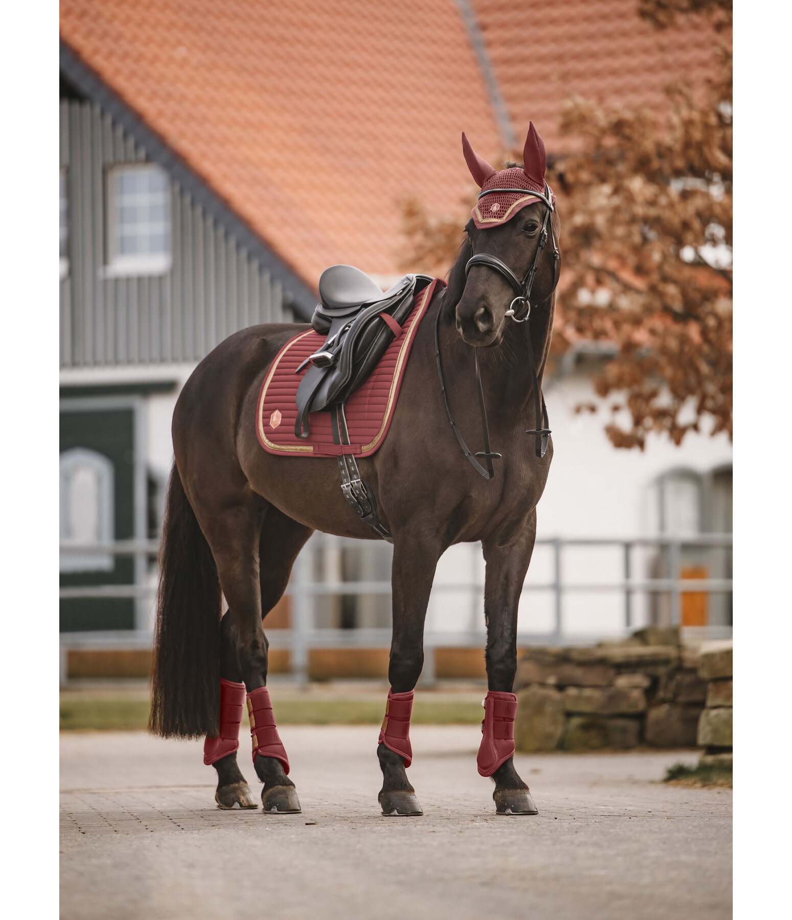 Saddle Pad Glitter