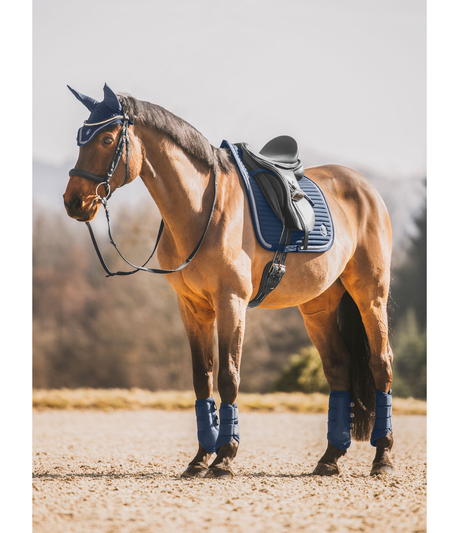 Saddle Pad Glitter