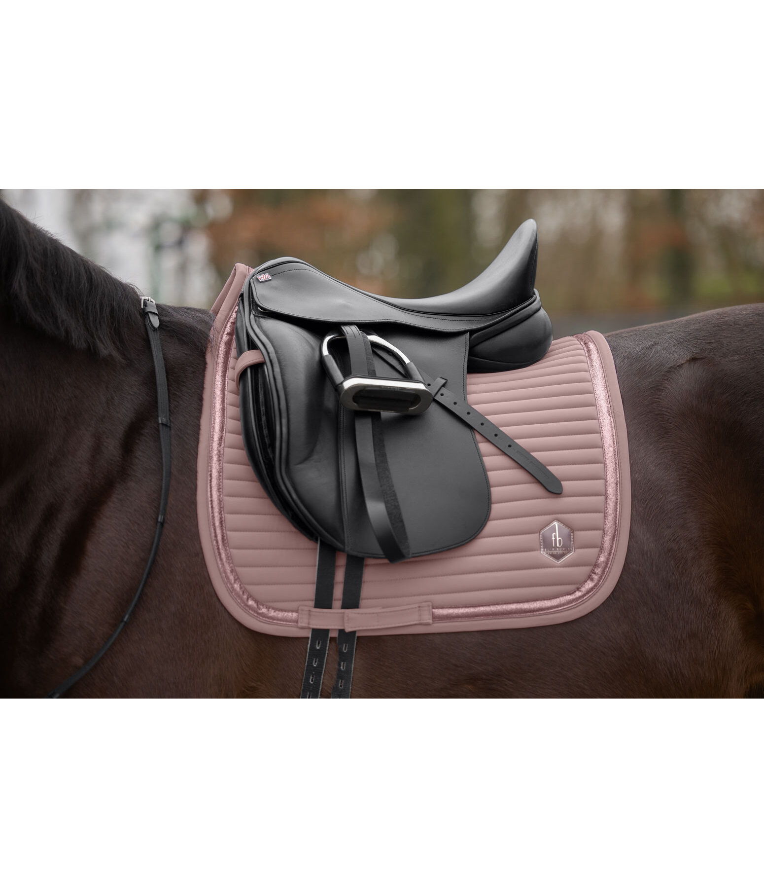 Saddle Pad Glitter