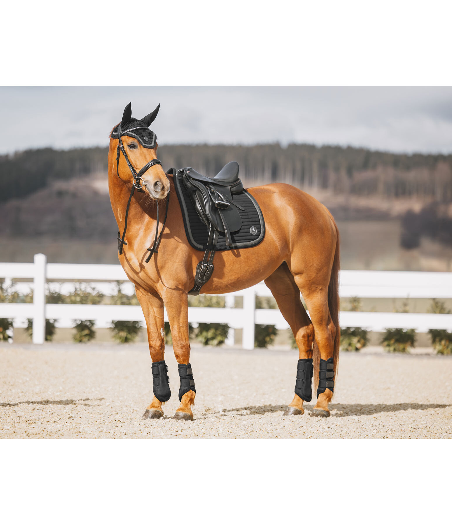 Saddle Pad Glitter