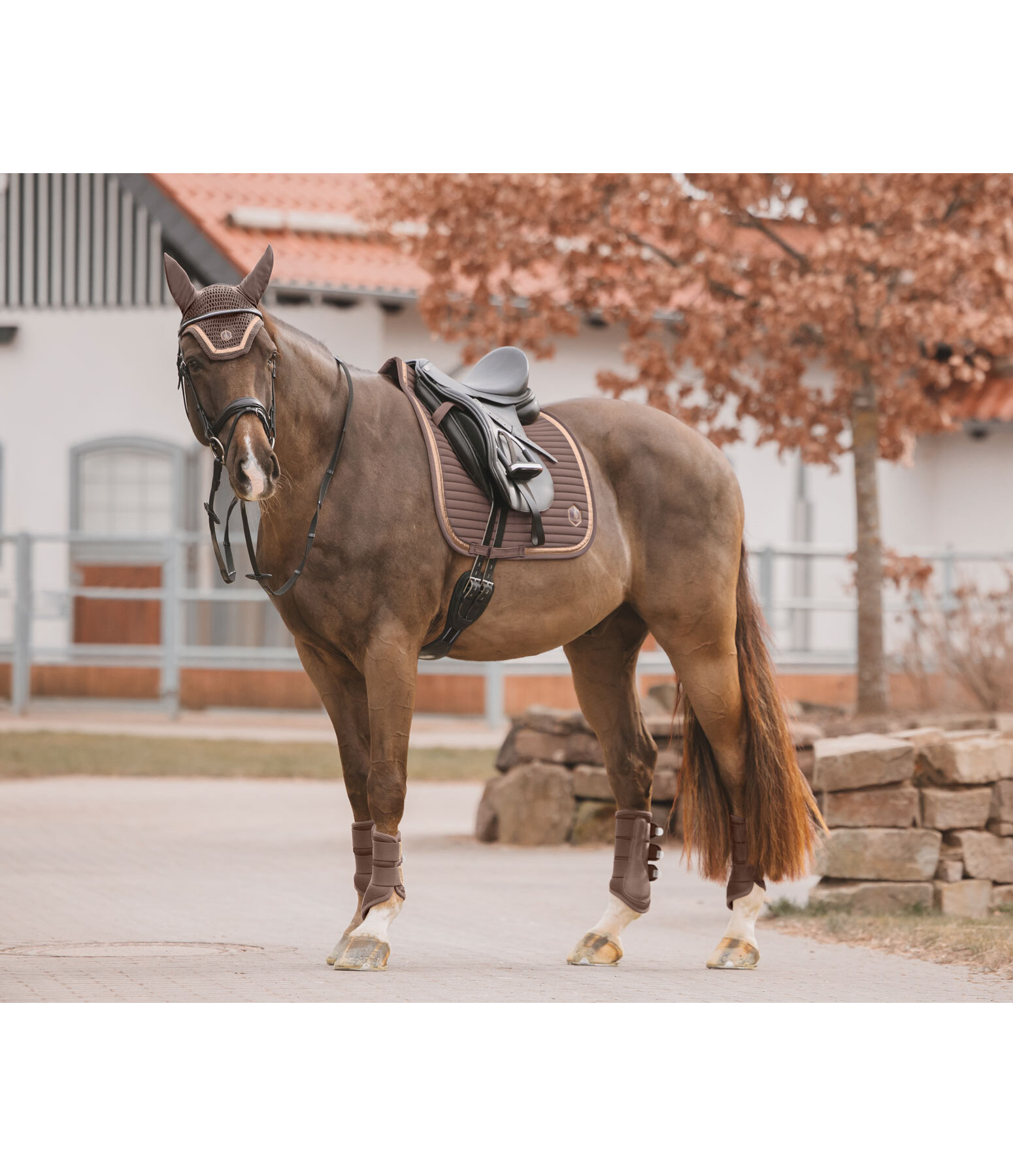 Saddle Pad Glitter