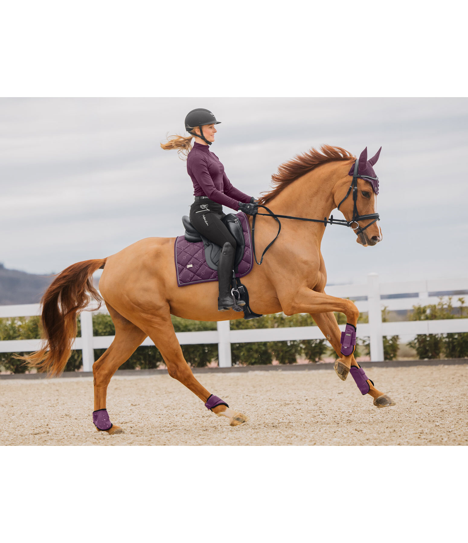Saddle Pad Signature II