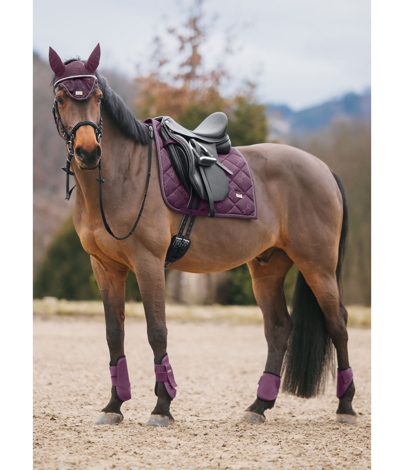 Saddle Pad Signature II