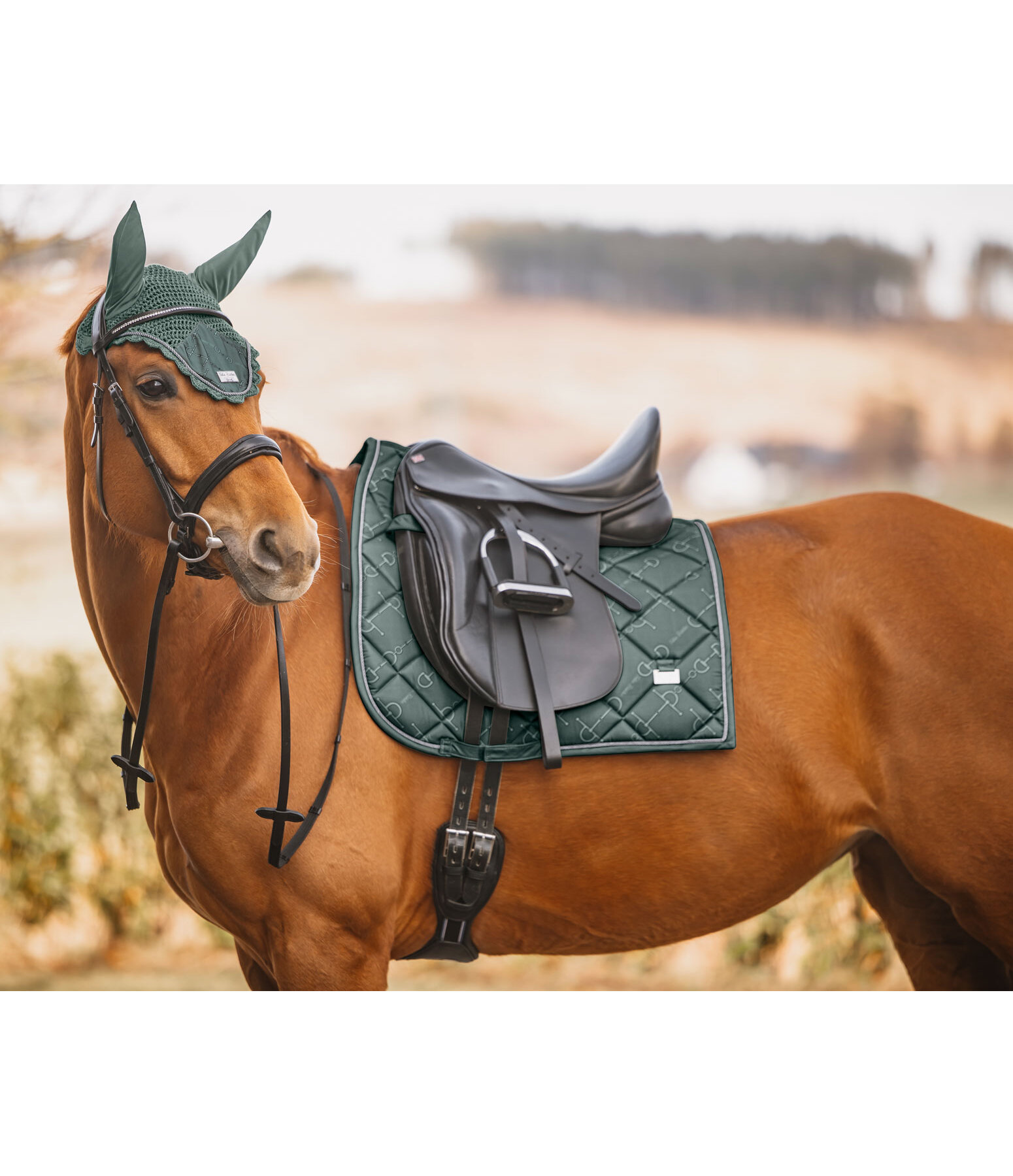 Saddle Pad Signature II