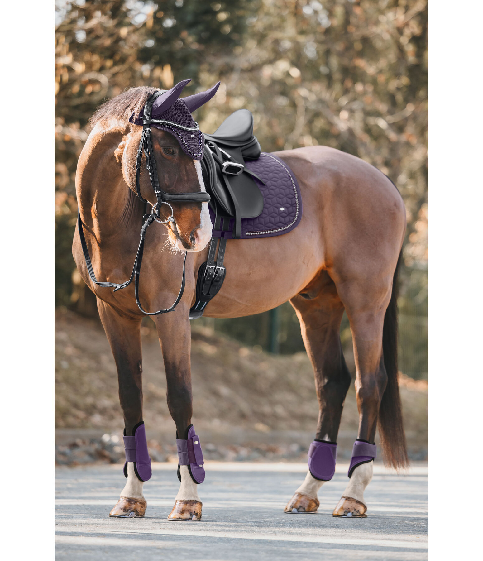 Saddle Pad Twinkle Moments