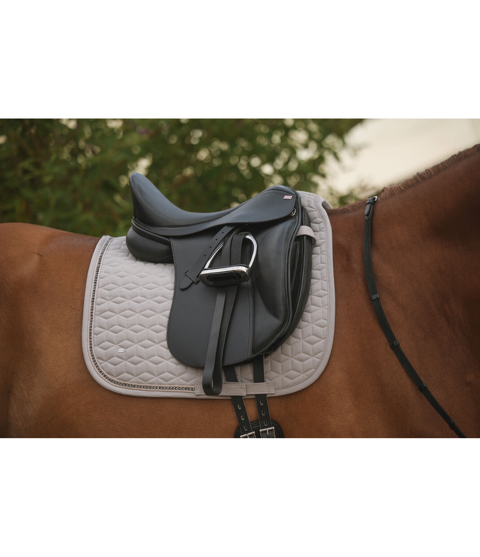Saddle Pad Twinkle