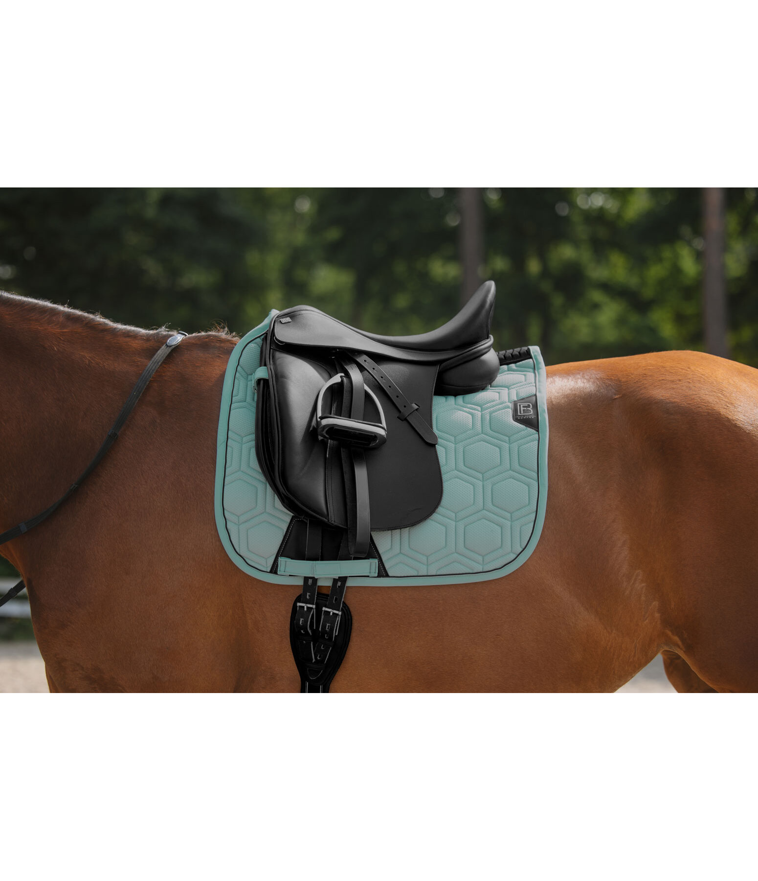 Saddle Pad Mesh Technology