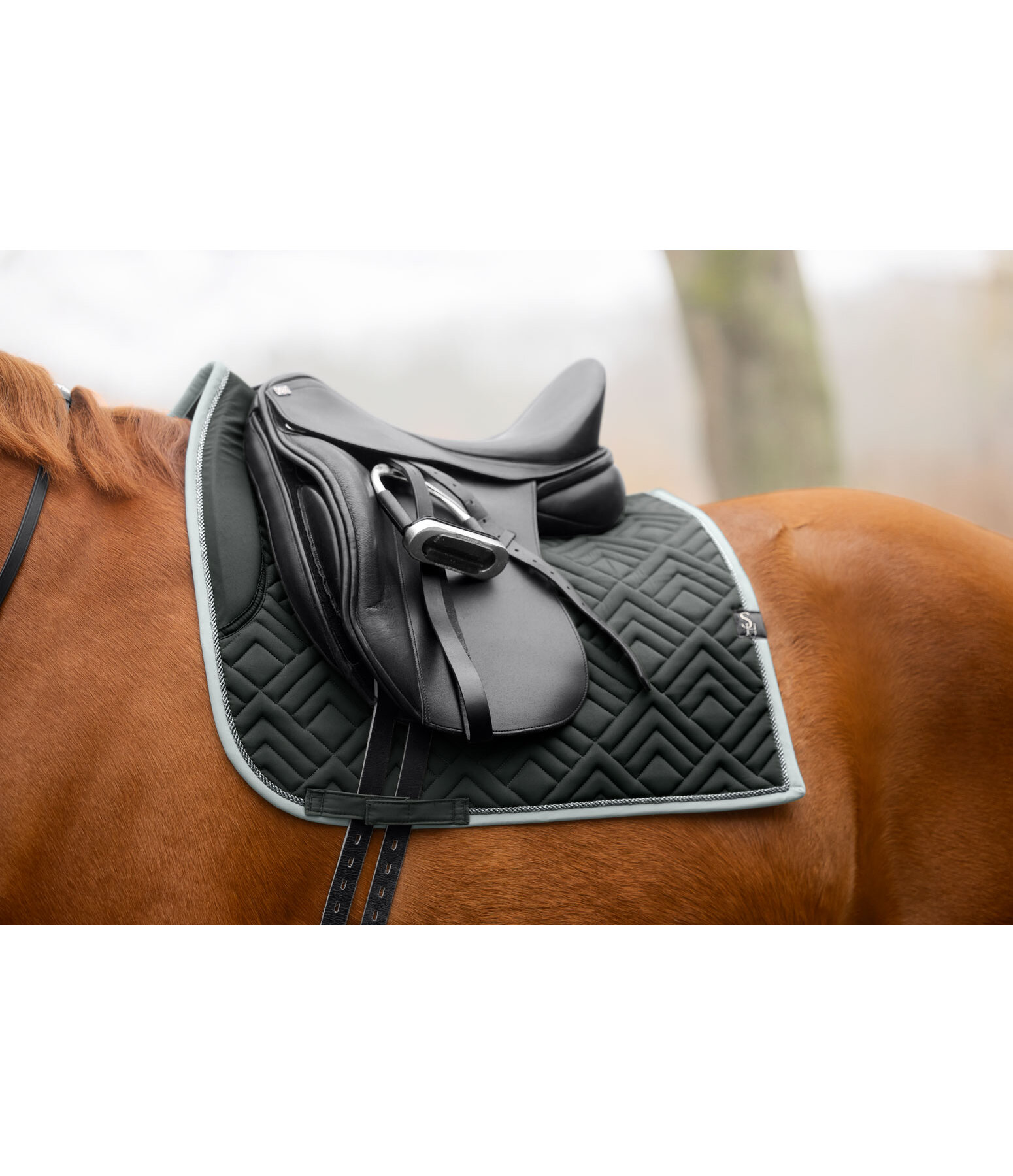 Saddle Pad Glimmering