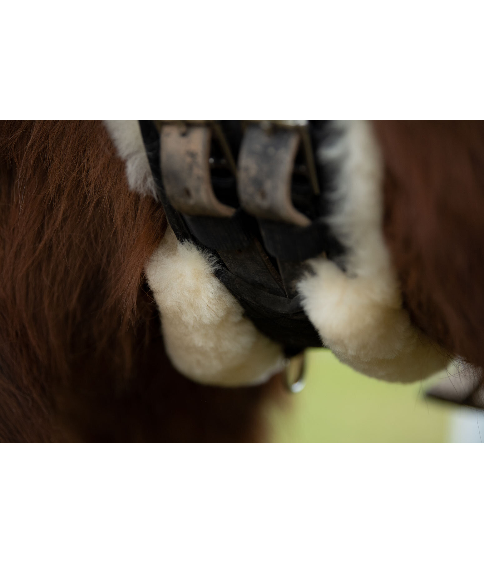 Icelandic Sheepskin Dressage Girth