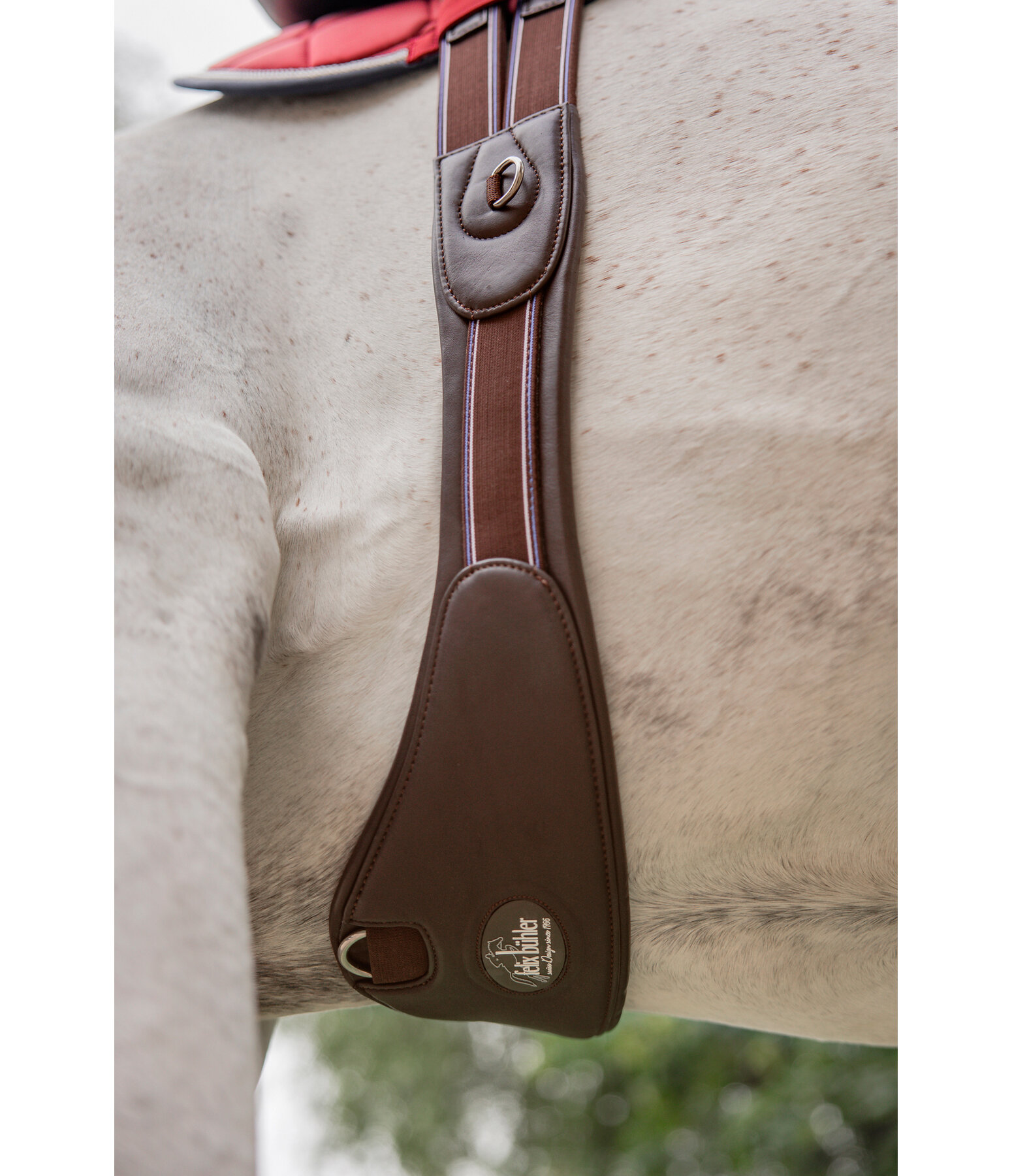 Soft Leather Crescent Girth