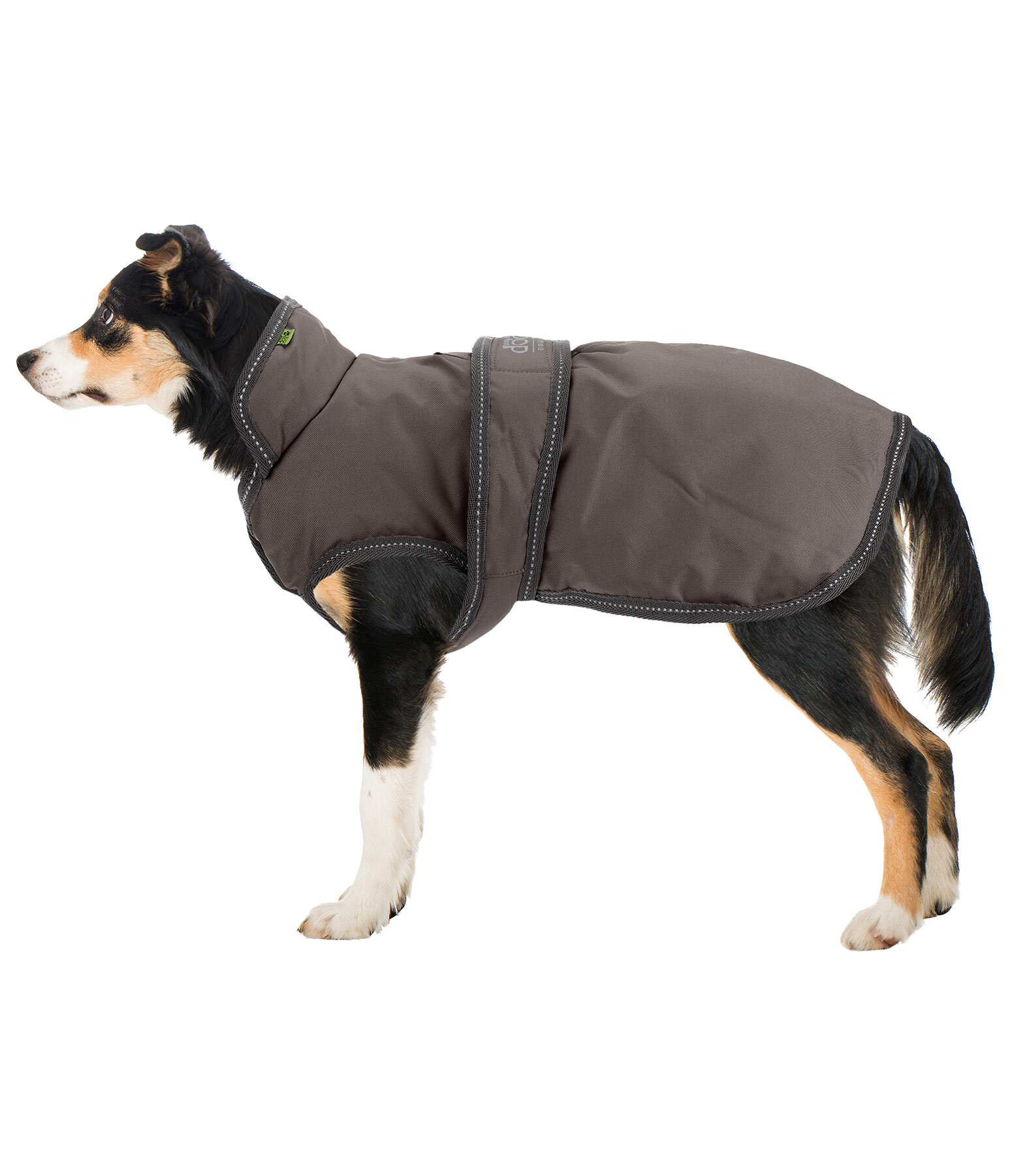 Winter Dog Coat Eddie with Fleece Lining, 200g