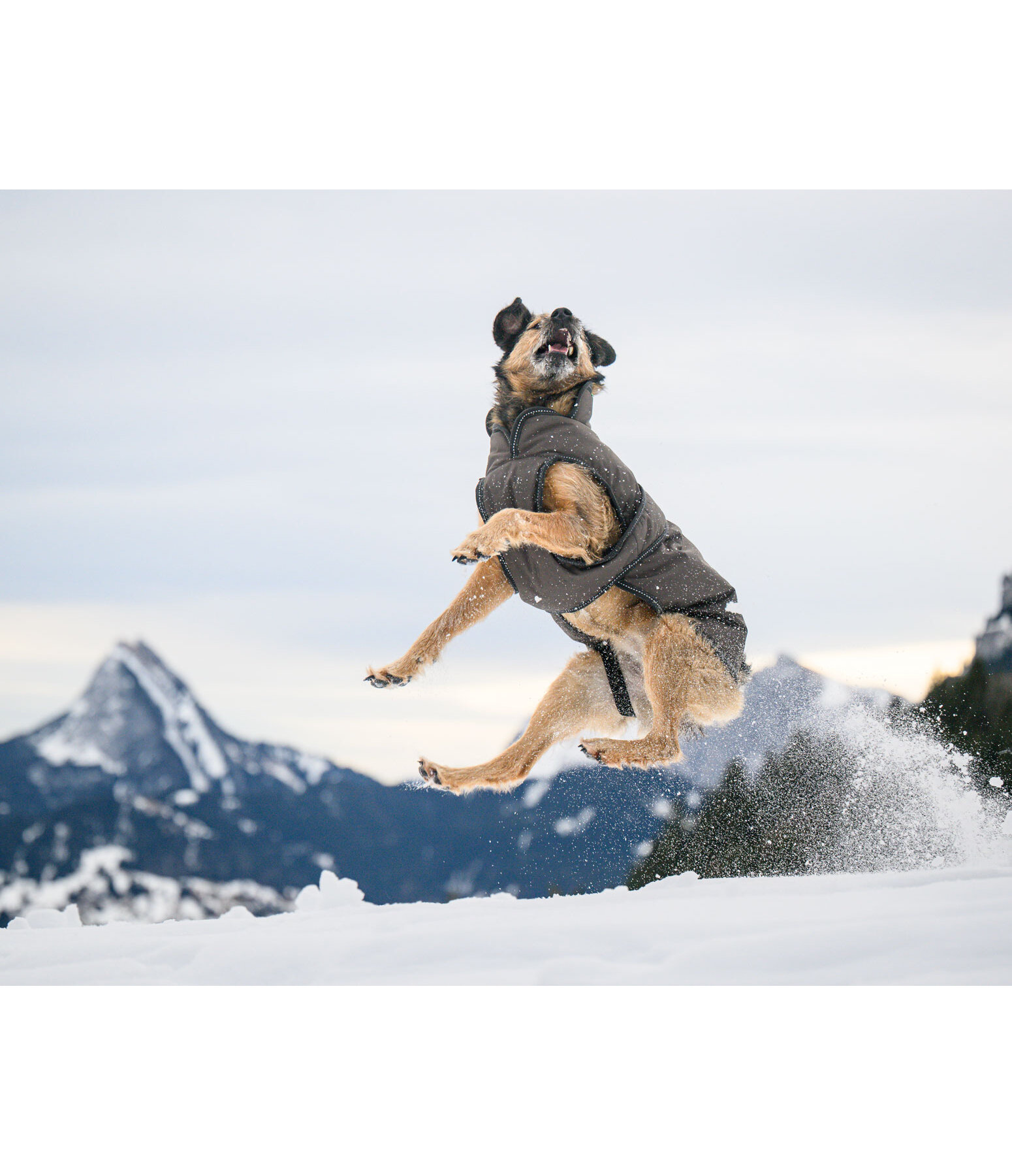 Winter Dog Coat Eddie with Fleece Lining, 200g