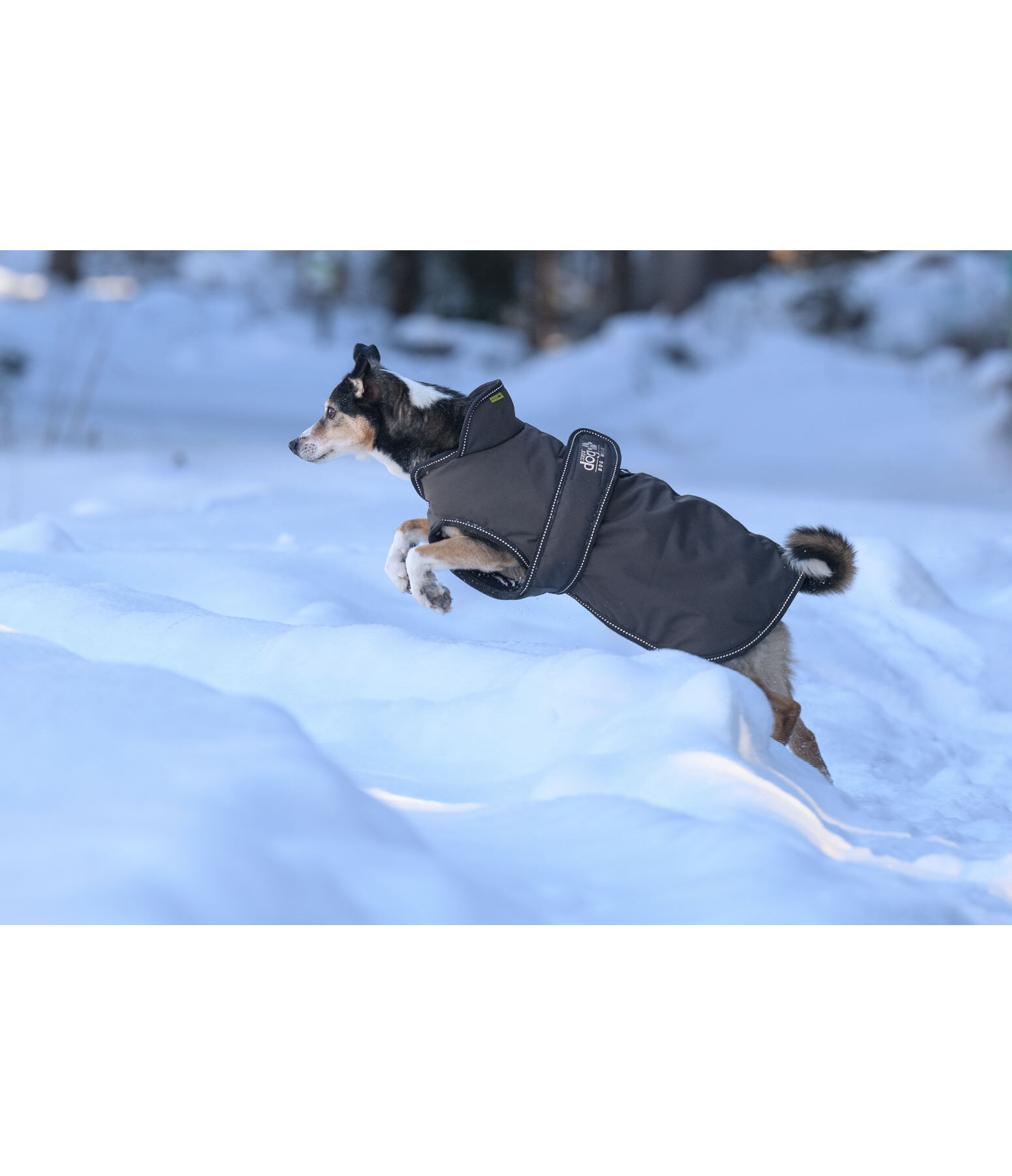 Winter Dog Coat Eddie with Fleece Lining, 200g