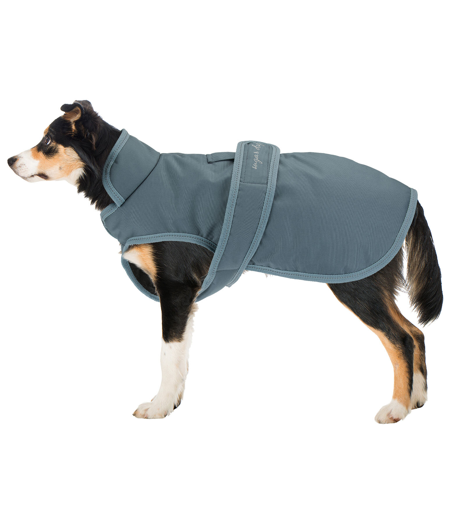 Dog Coat Eddie with Fleece Lining 200 g