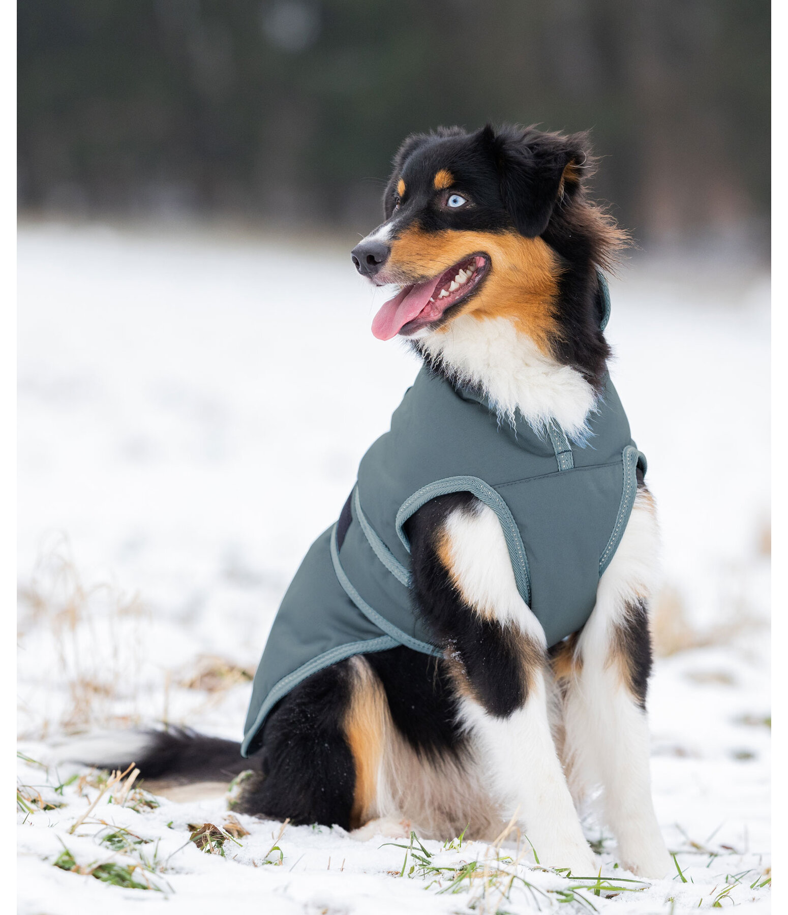 Dog Coat Eddie with Fleece Lining 200 g