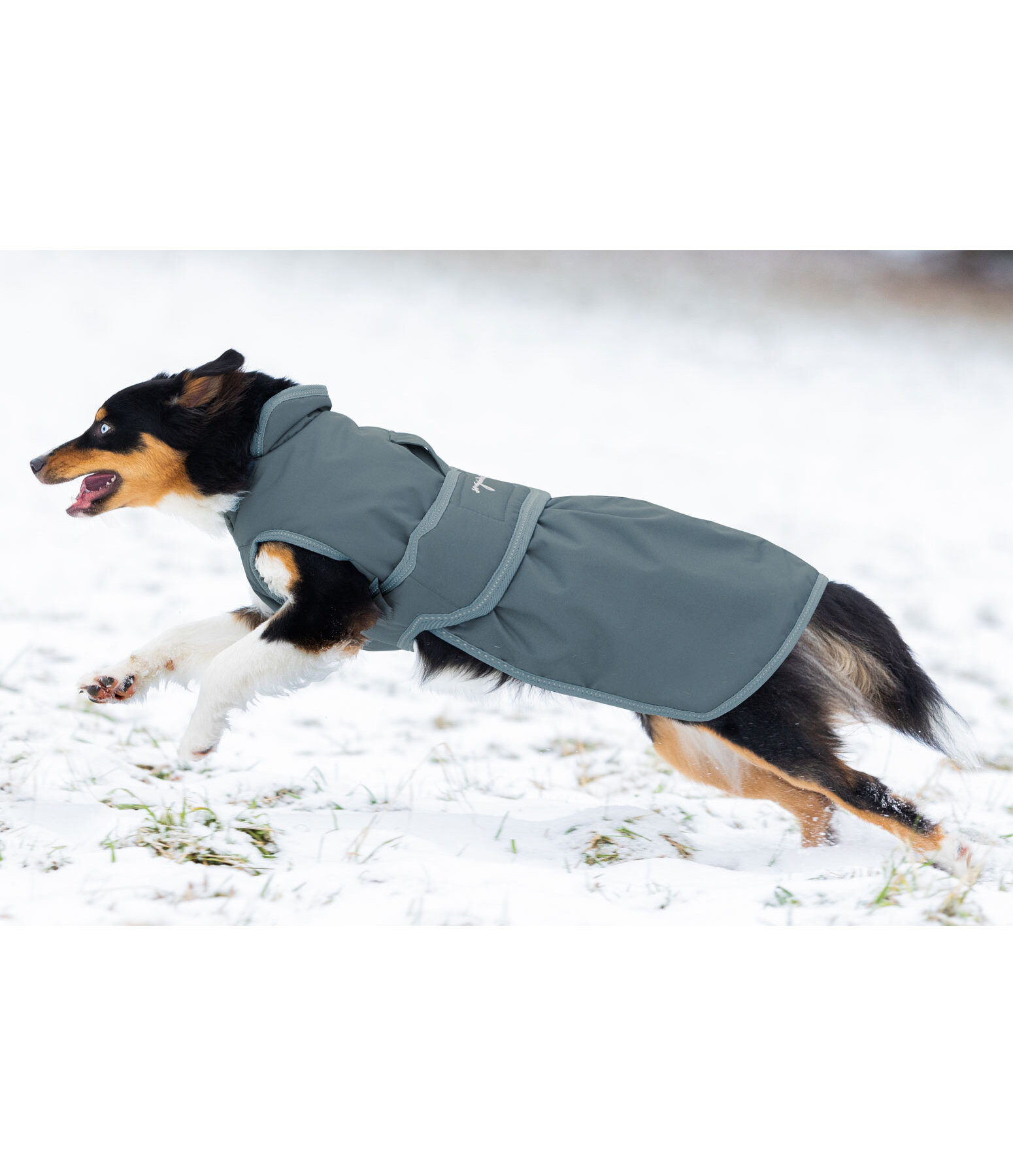 Dog Coat Eddie with Fleece Lining 200 g