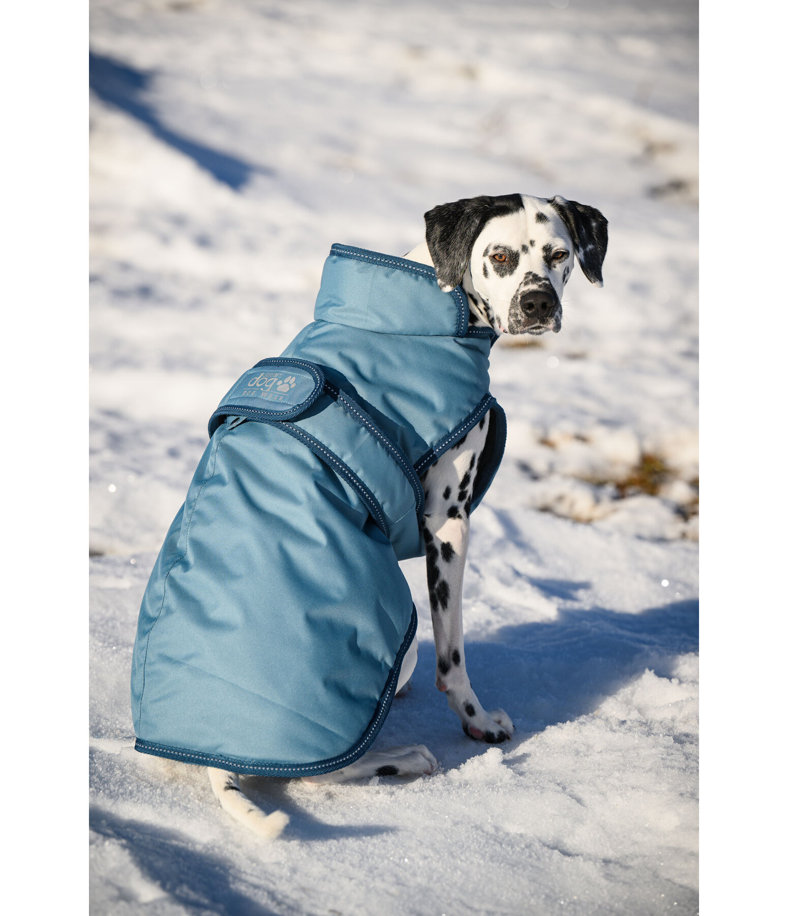 Winter Dog Coat Eddie with Fleece Lining, 200g