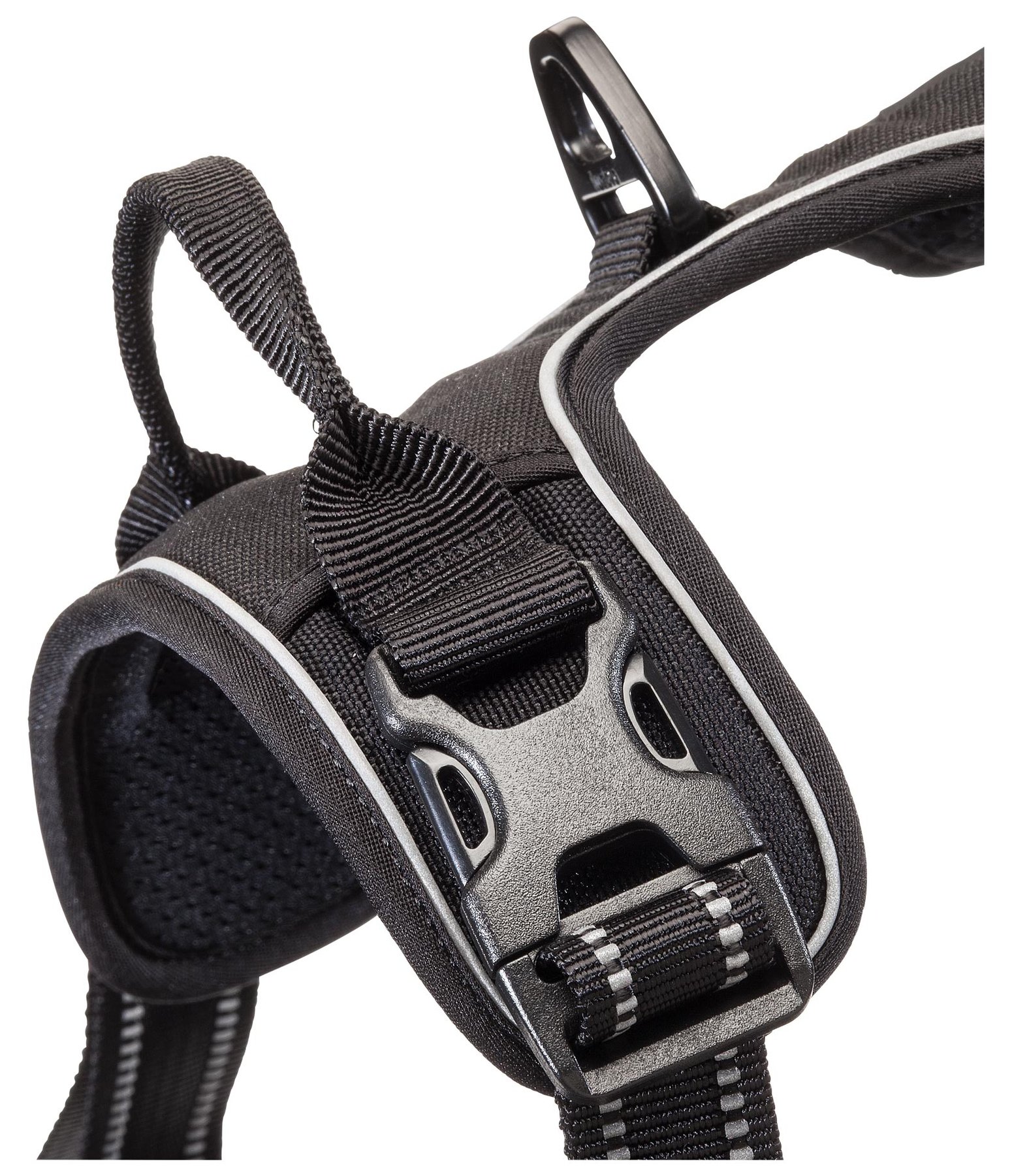 Easy Rider Dog Harness Uk Easy Rider Dog Harness Uk