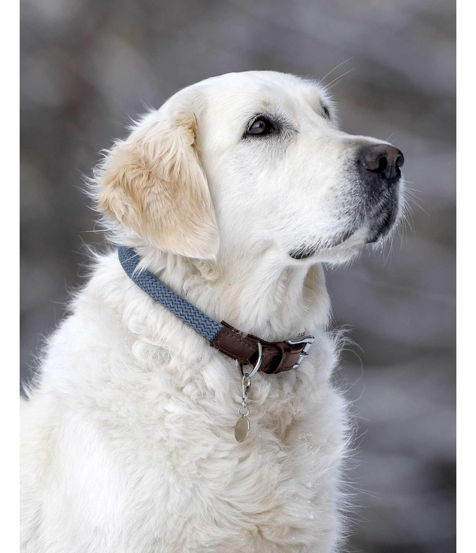 Collar Rope