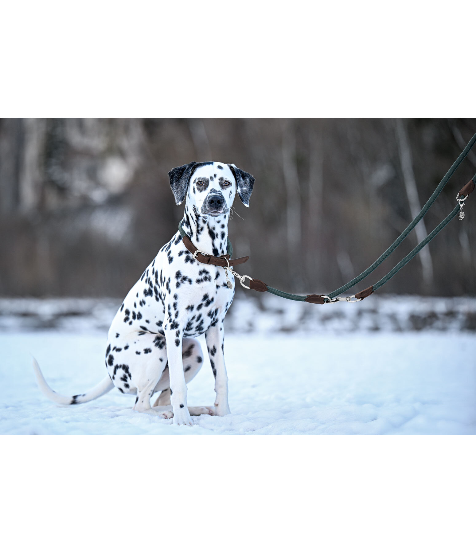 Dog Lead Rope