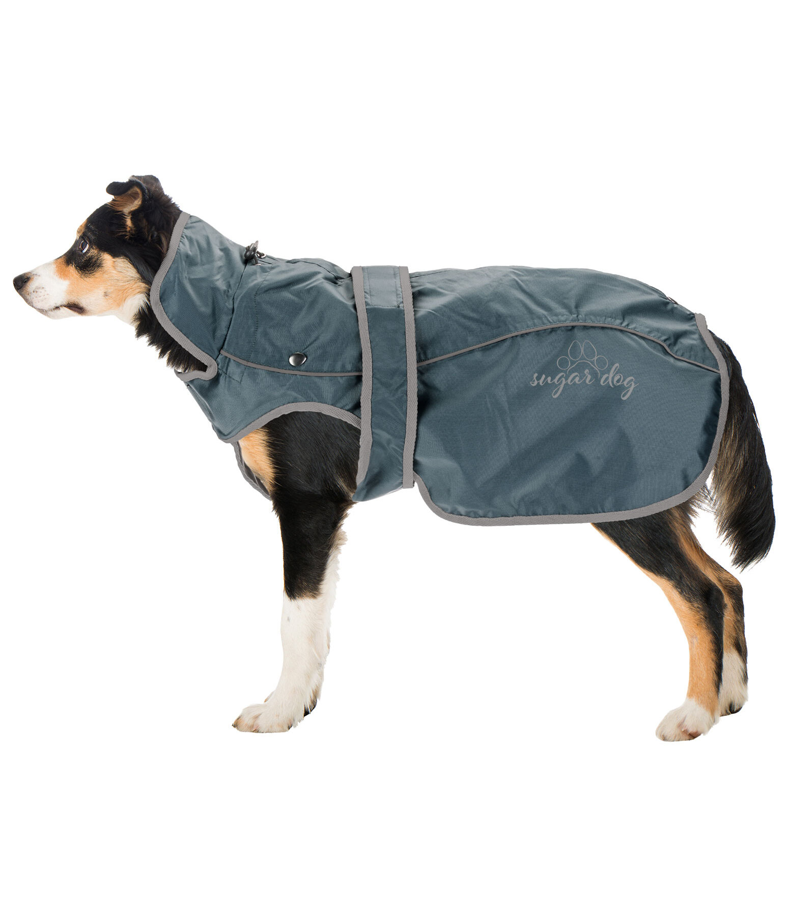 Dog Raincoat Ally 2 in 1