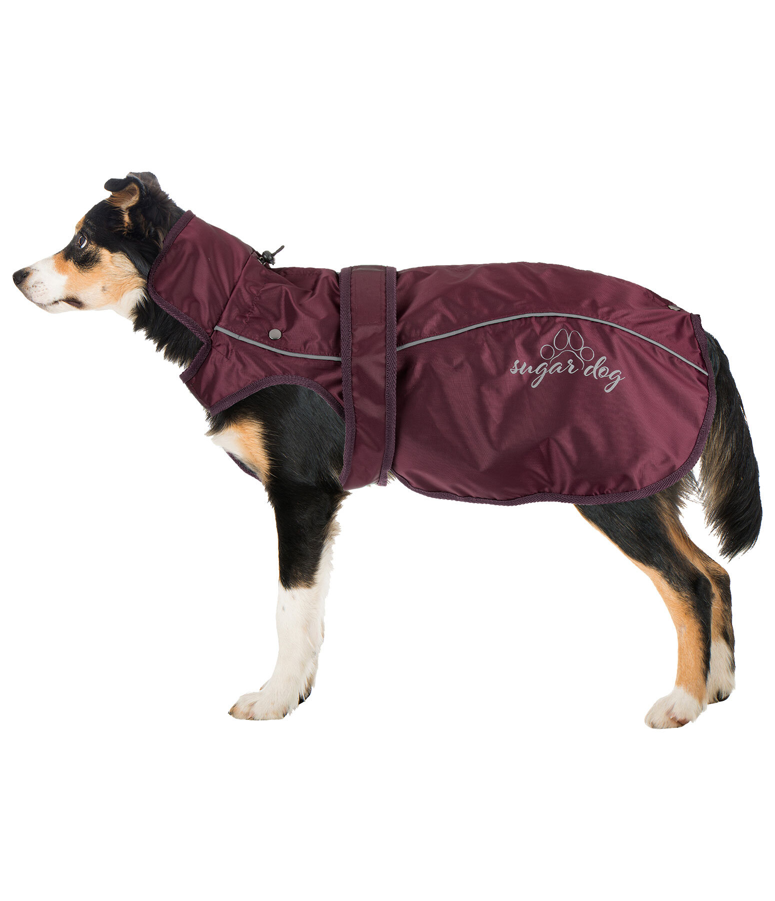 Dog Raincoat Ally 2 in 1