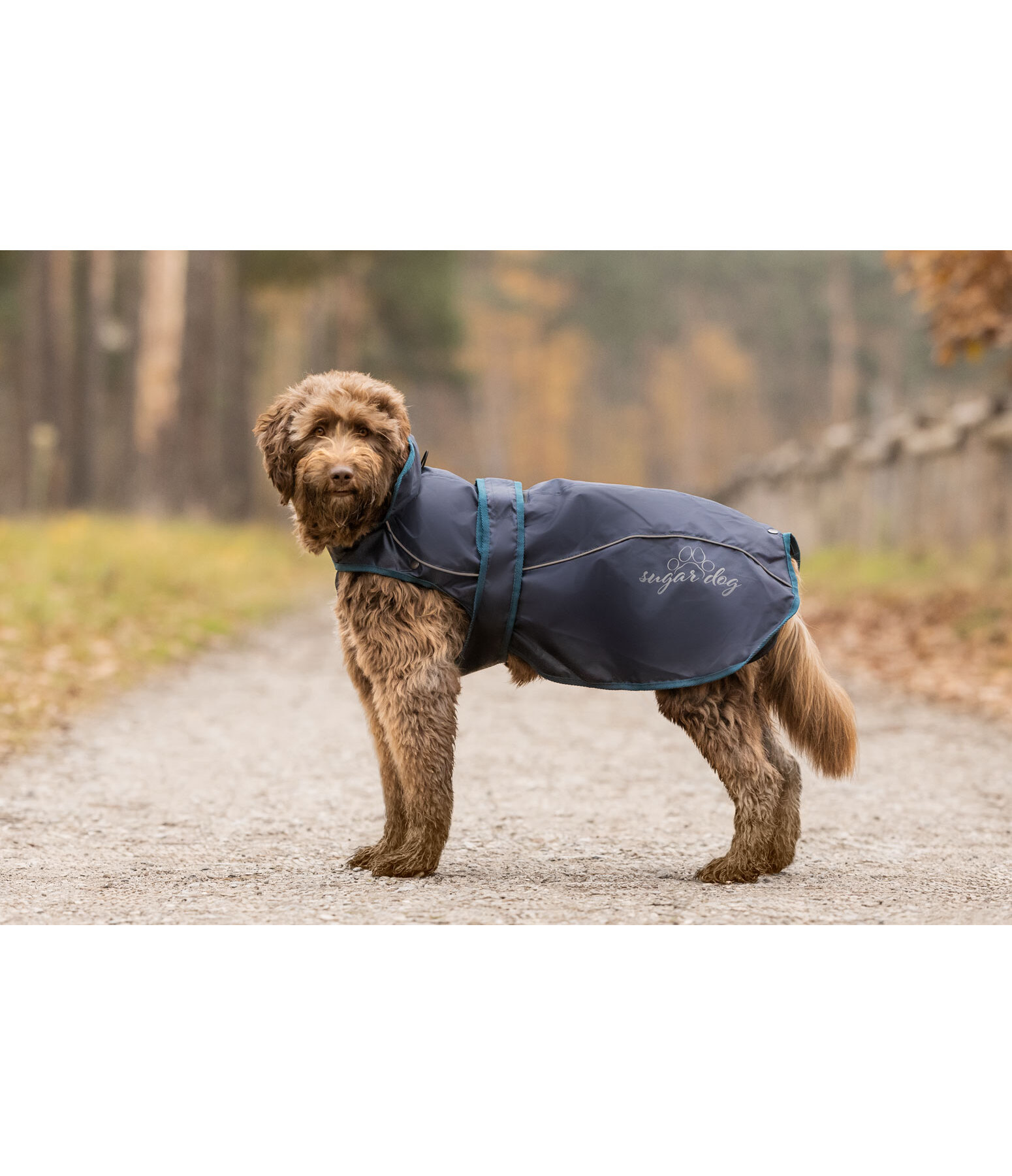 2-in-1 Dog Raincoat Ally