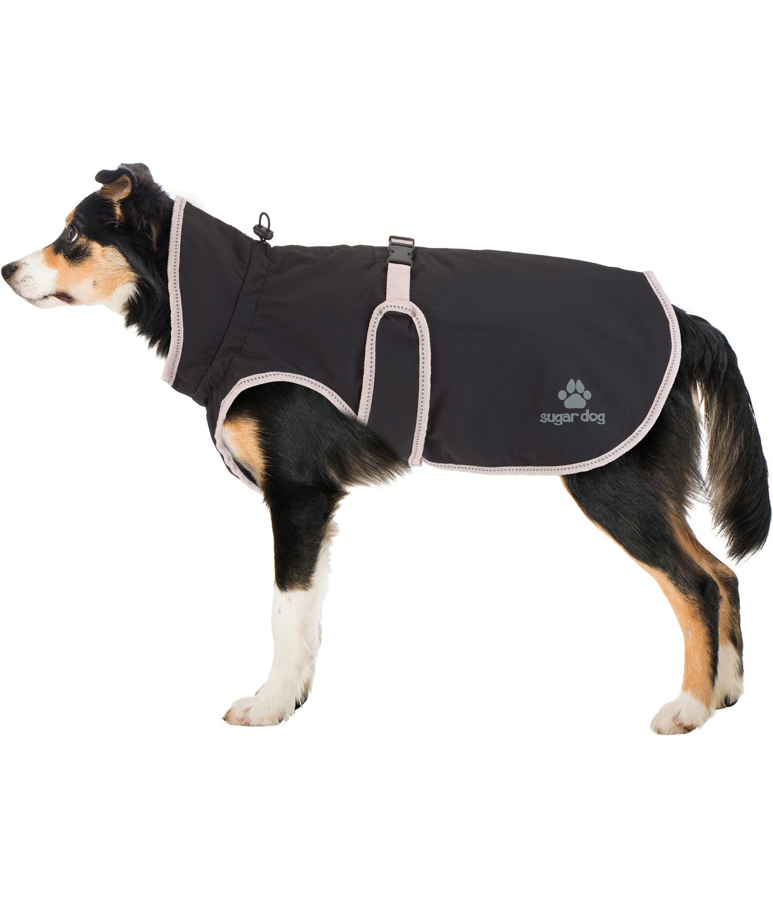 Fleece lined dog raincoat clearance