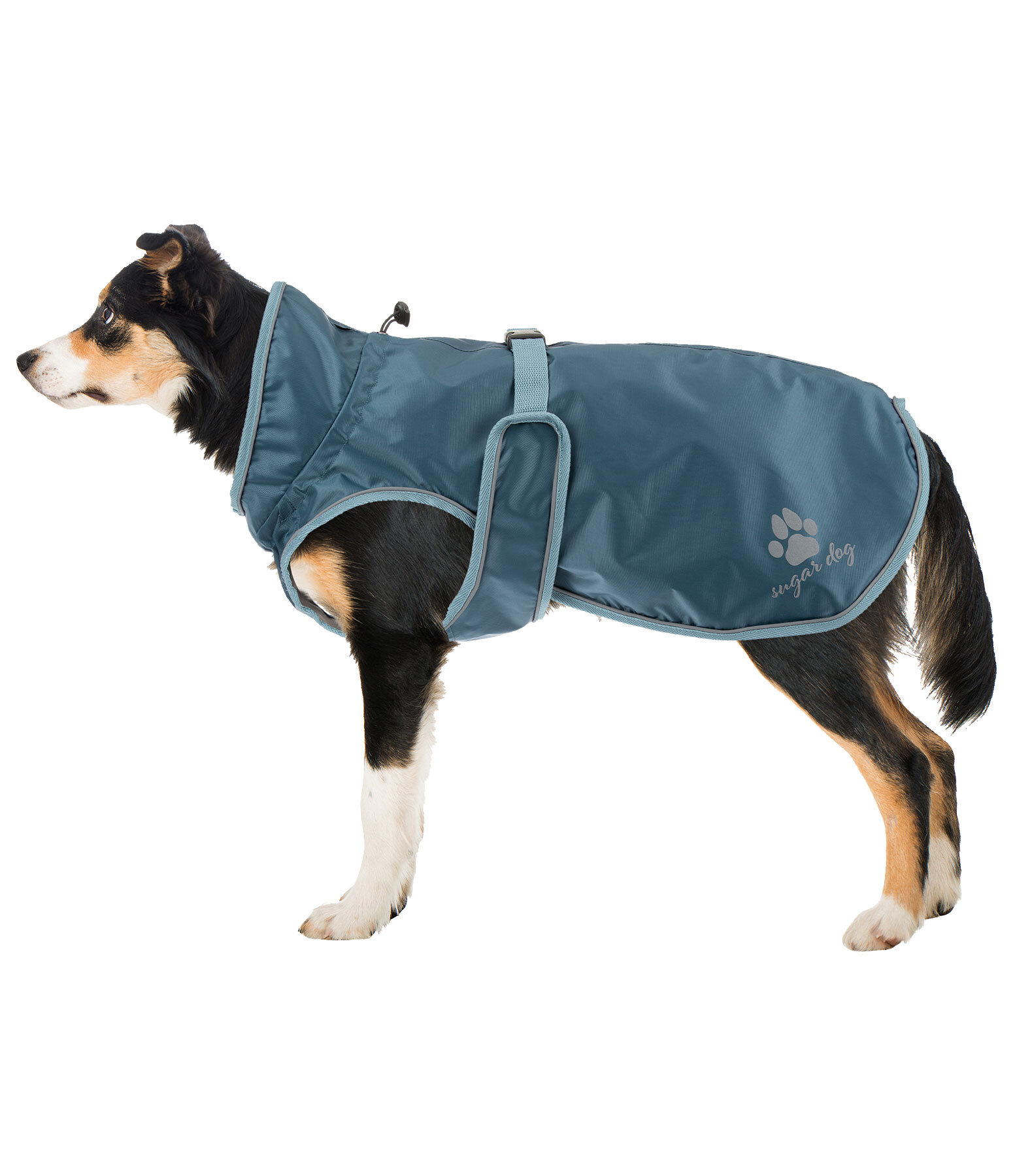 Dog Raincoat Eldoro II with Fleece Undercoat