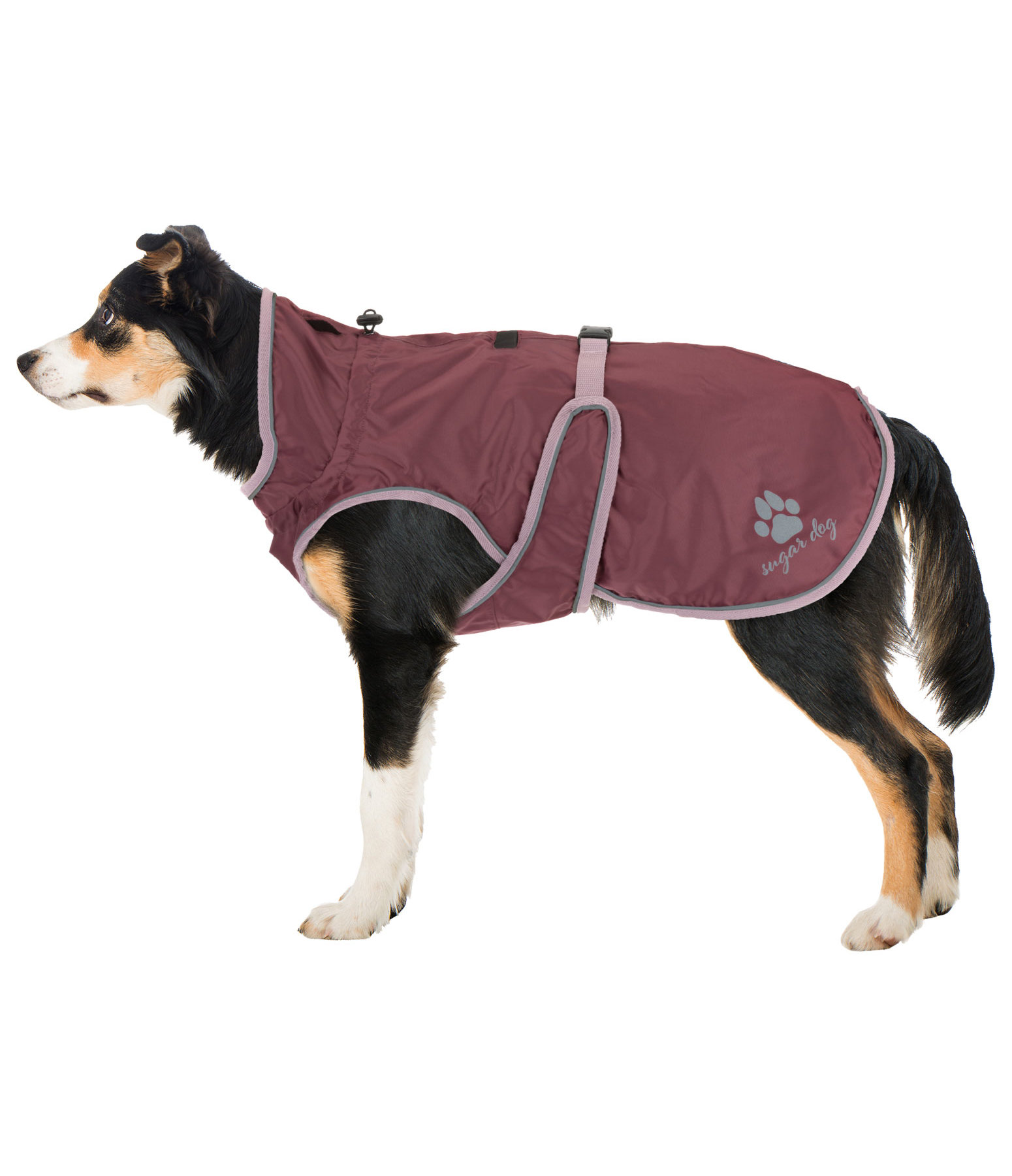 Dog Raincoat Eldoro II with Fleece Undercoat Kramer Equestrian