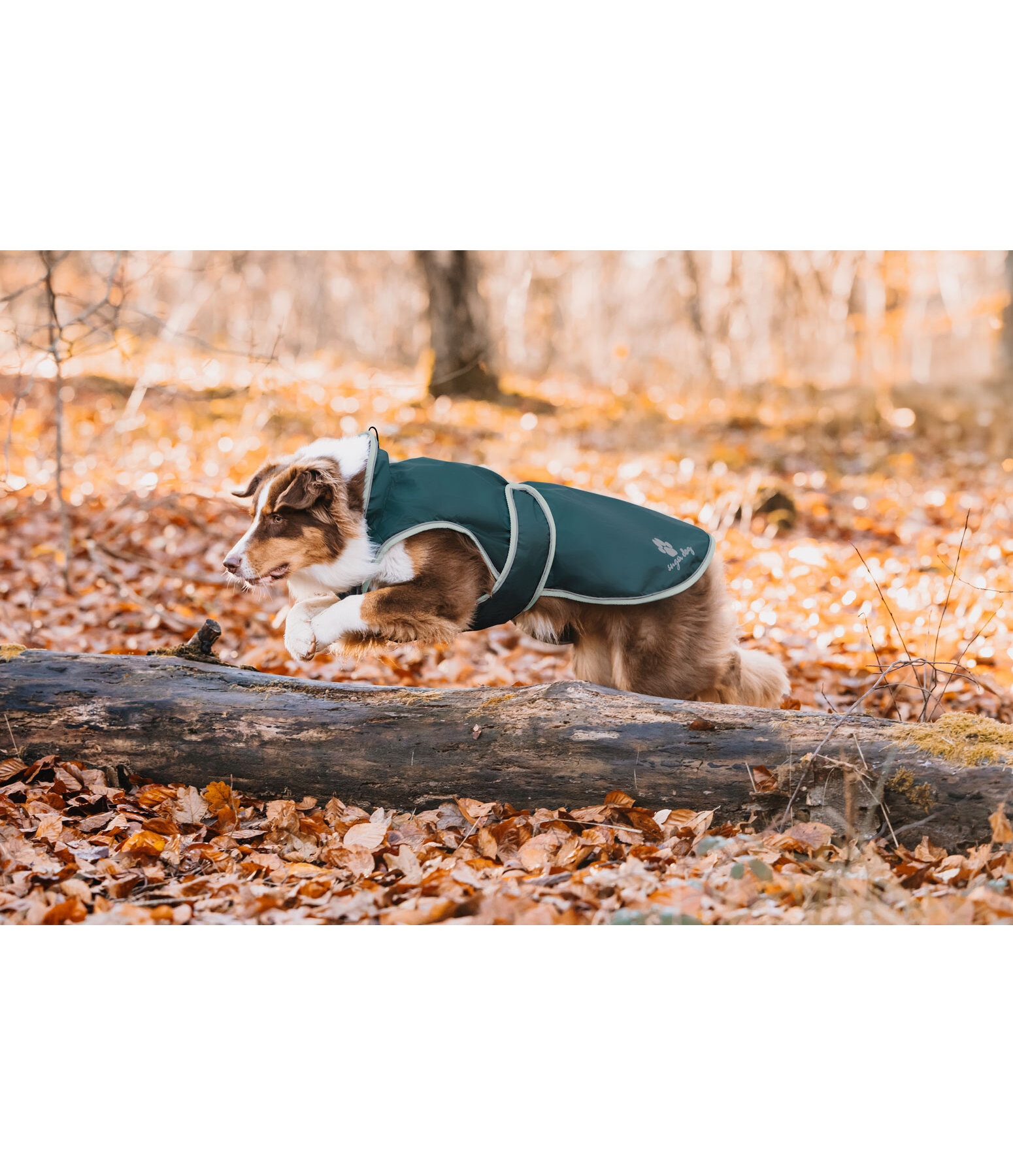 Dog Raincoat Eldoro II with Fleece Undercoat