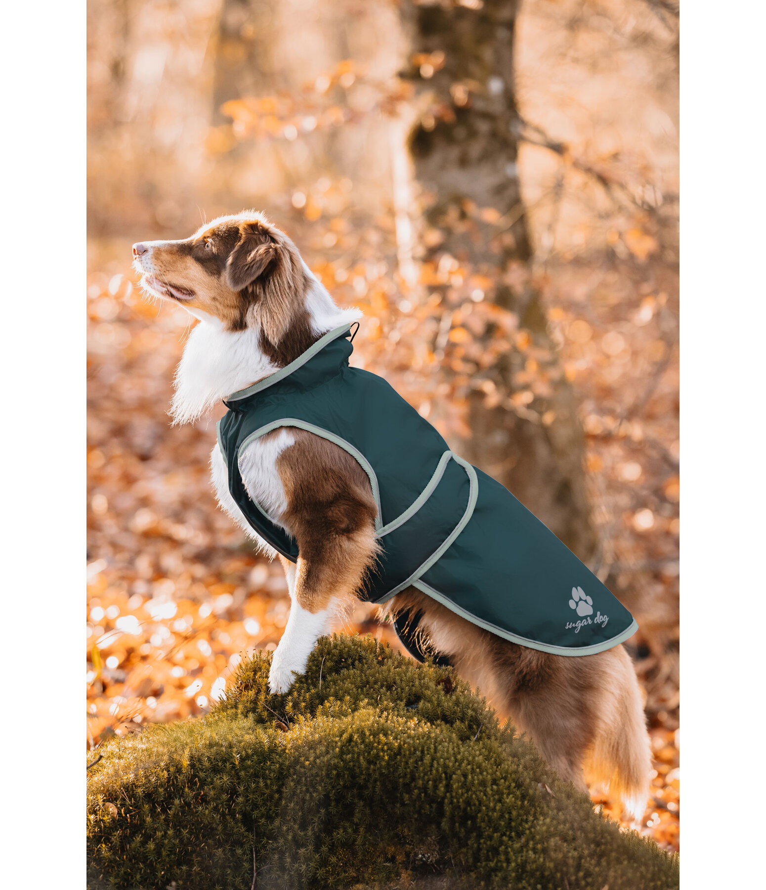 Dog Raincoat Eldoro II with Fleece Undercoat