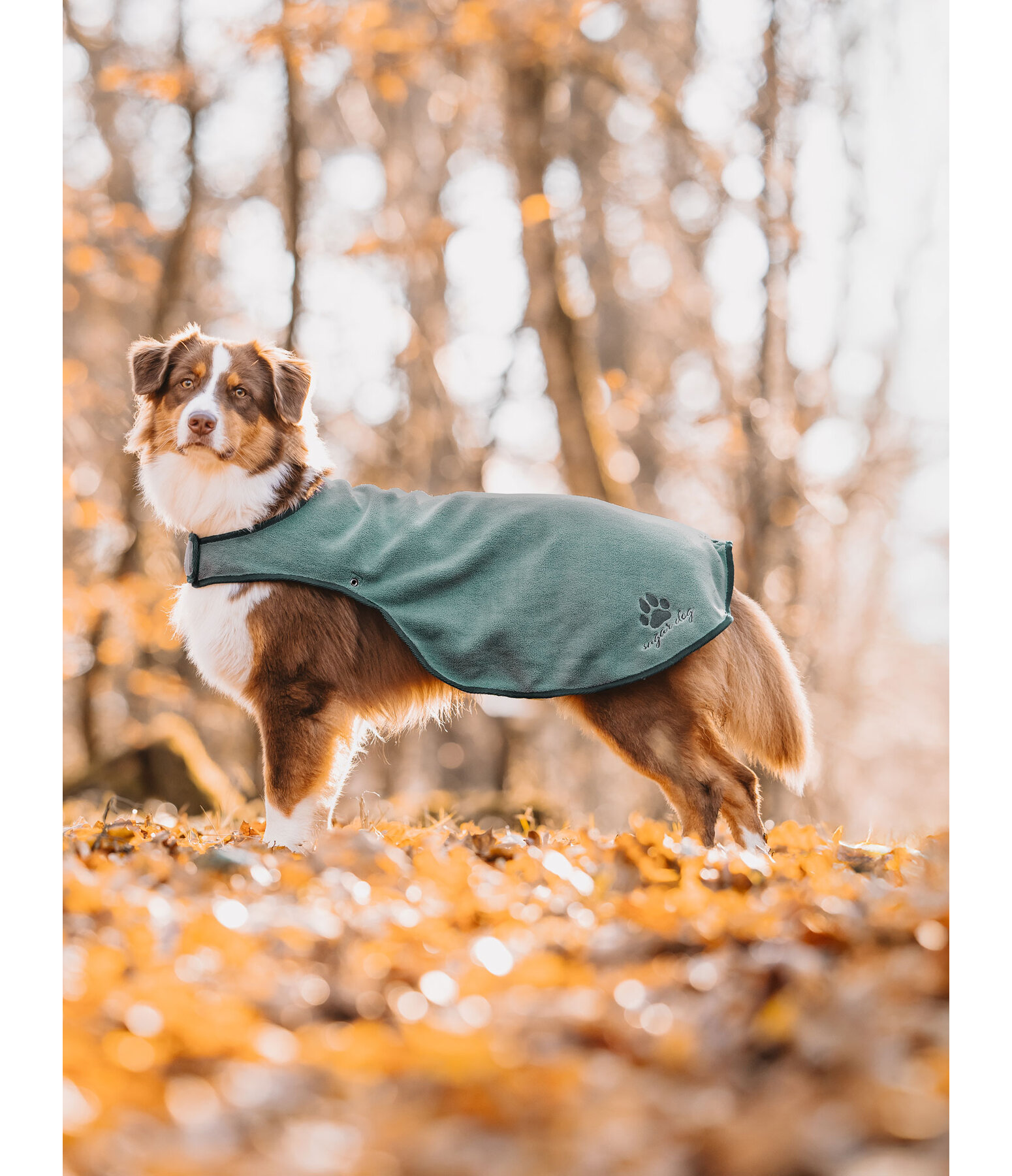 Dog Raincoat Eldoro II with Fleece Undercoat