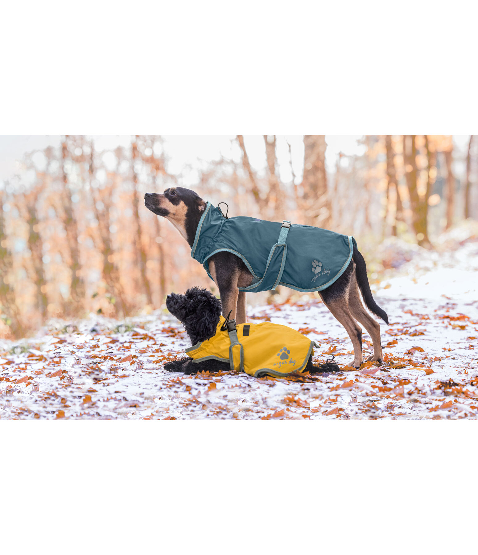 Dog Raincoat Eldoro II with Fleece Undercoat