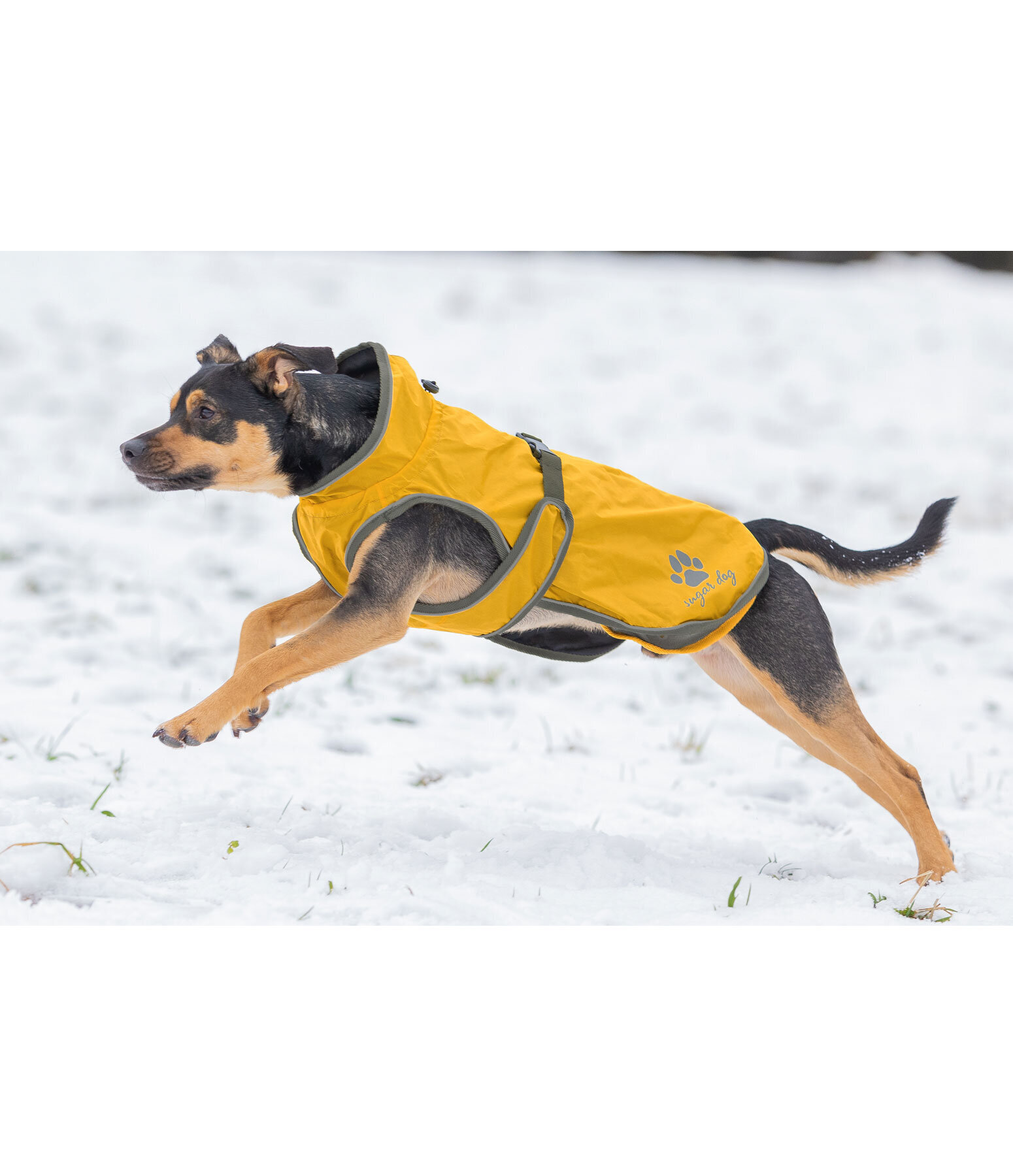 Dog Raincoat Eldoro II with Fleece Undercoat