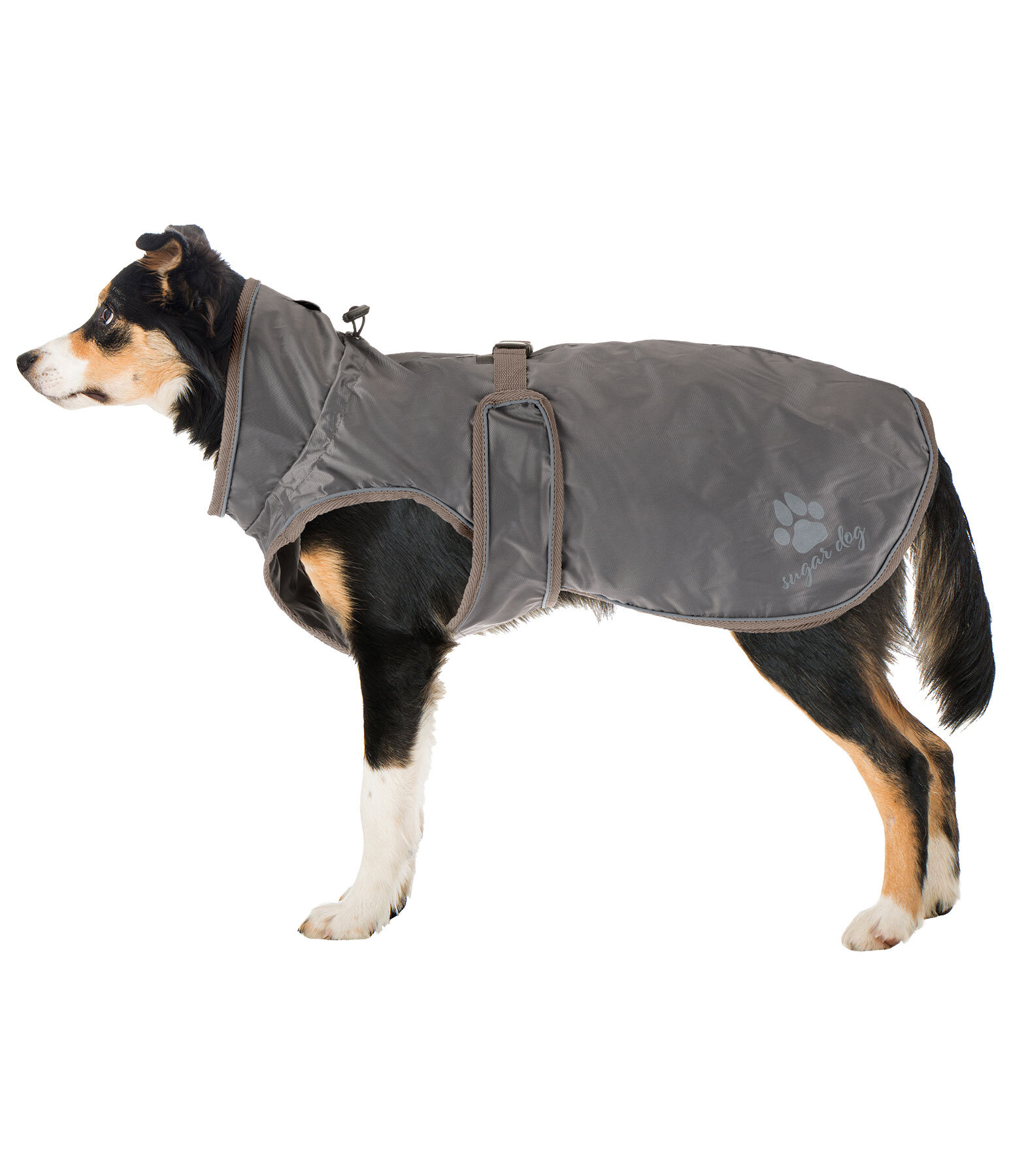 Dog Raincoat Eldoro II with Fleece Undercoat