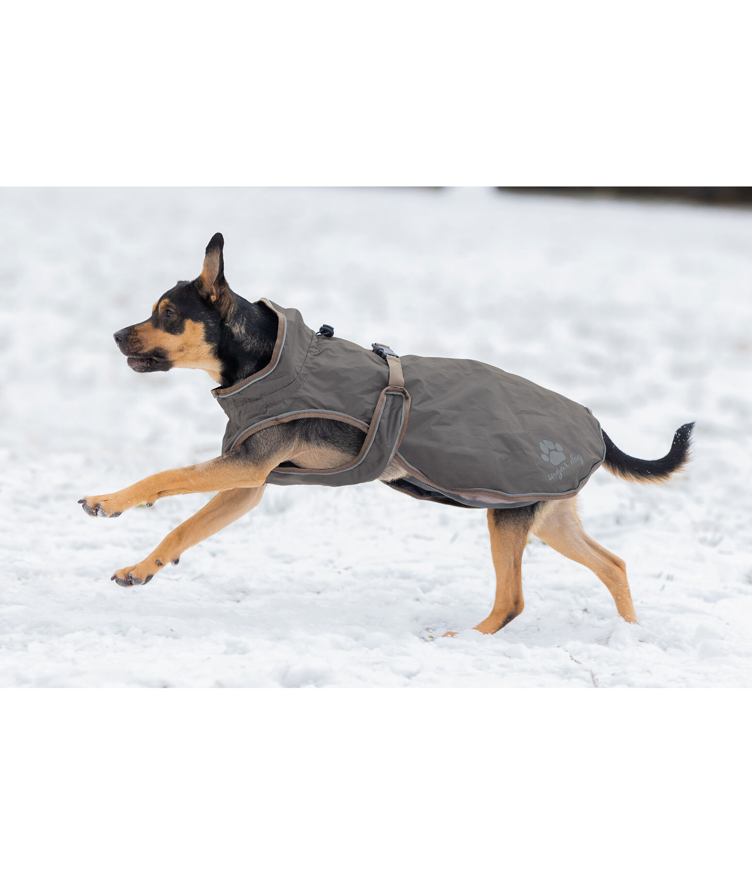 Dog Raincoat Eldoro II with Fleece Undercoat