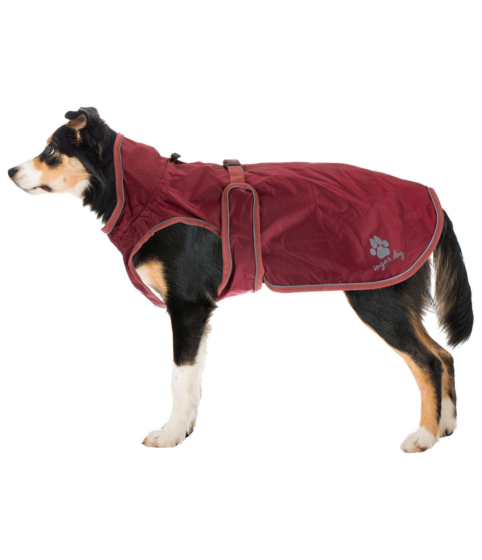 Dog Raincoat Eldoro II with Fleece Undercoat