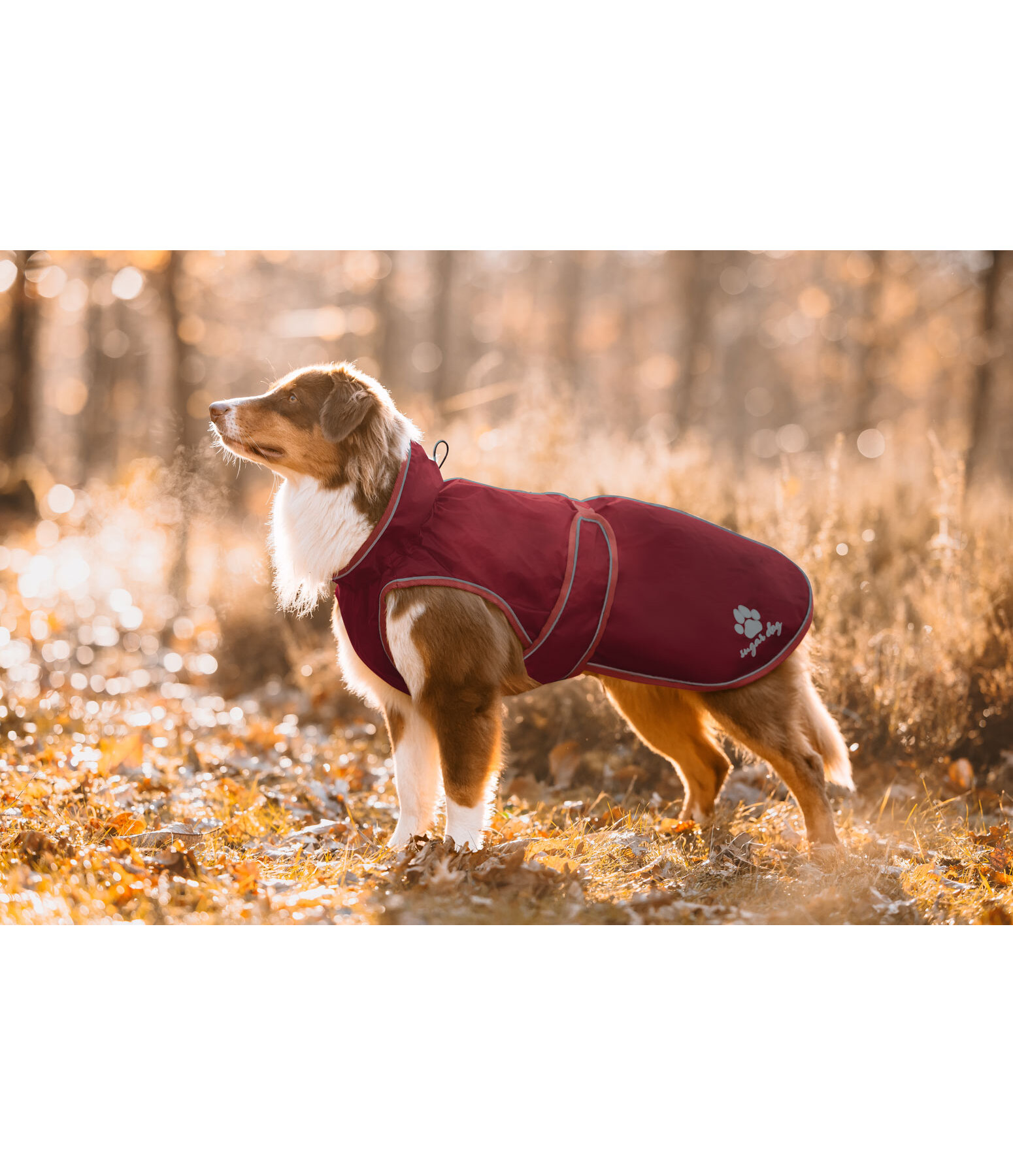 Dog Raincoat Eldoro II with Fleece Undercoat