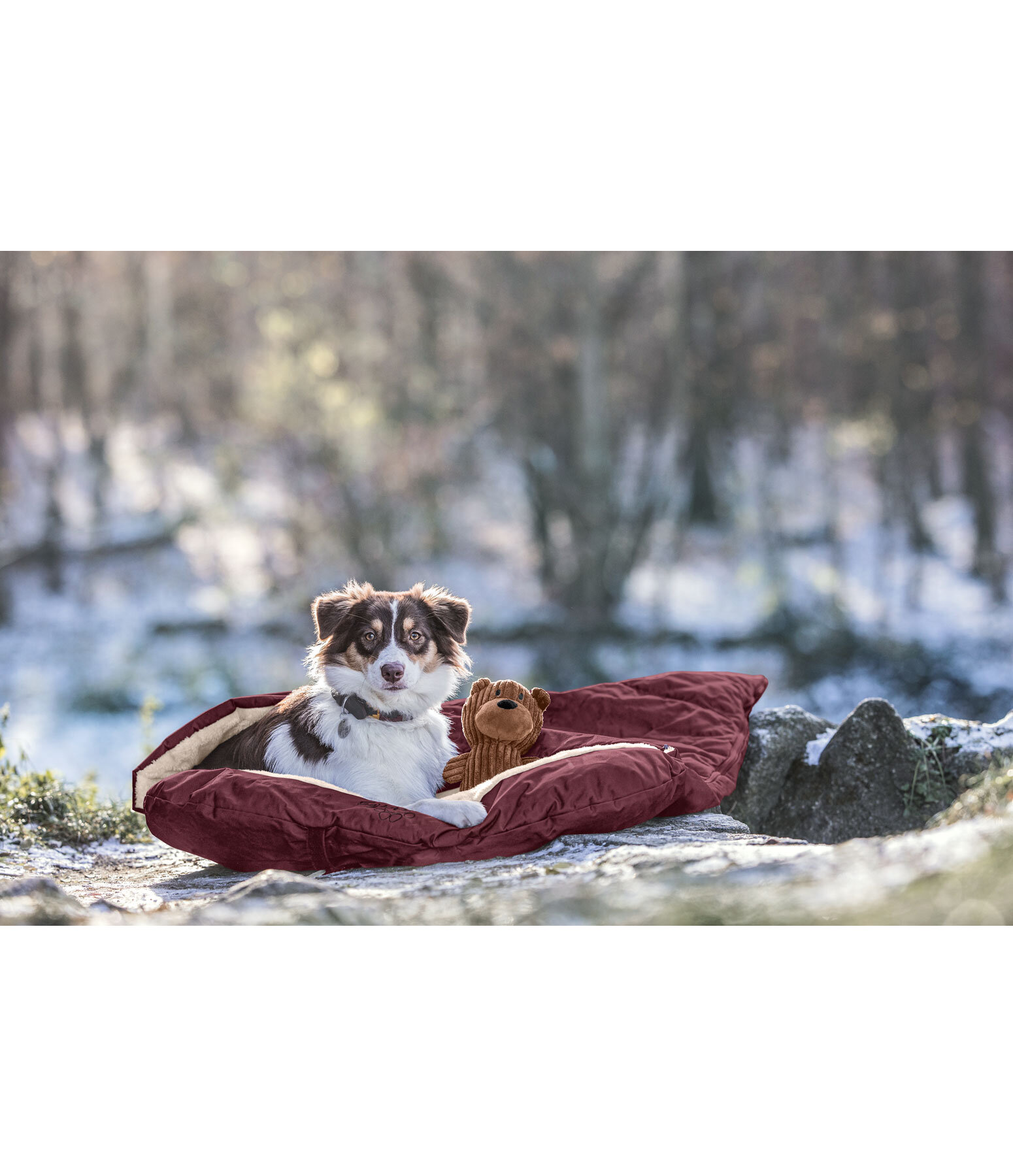 Dog Sleeping Bag Sirius