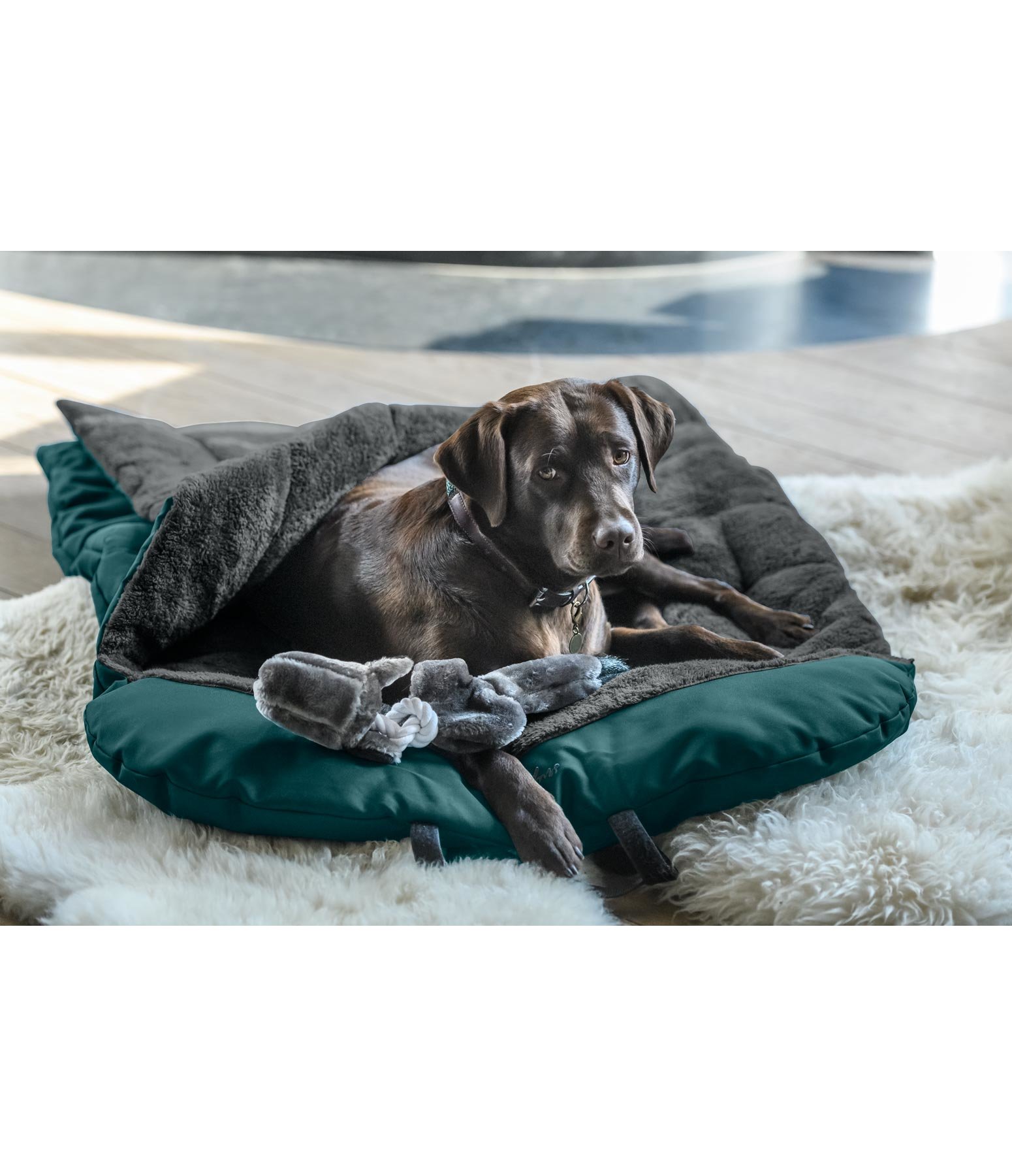Dog Sleeping Bag Sirius Dog Beds Kramer Equestrian