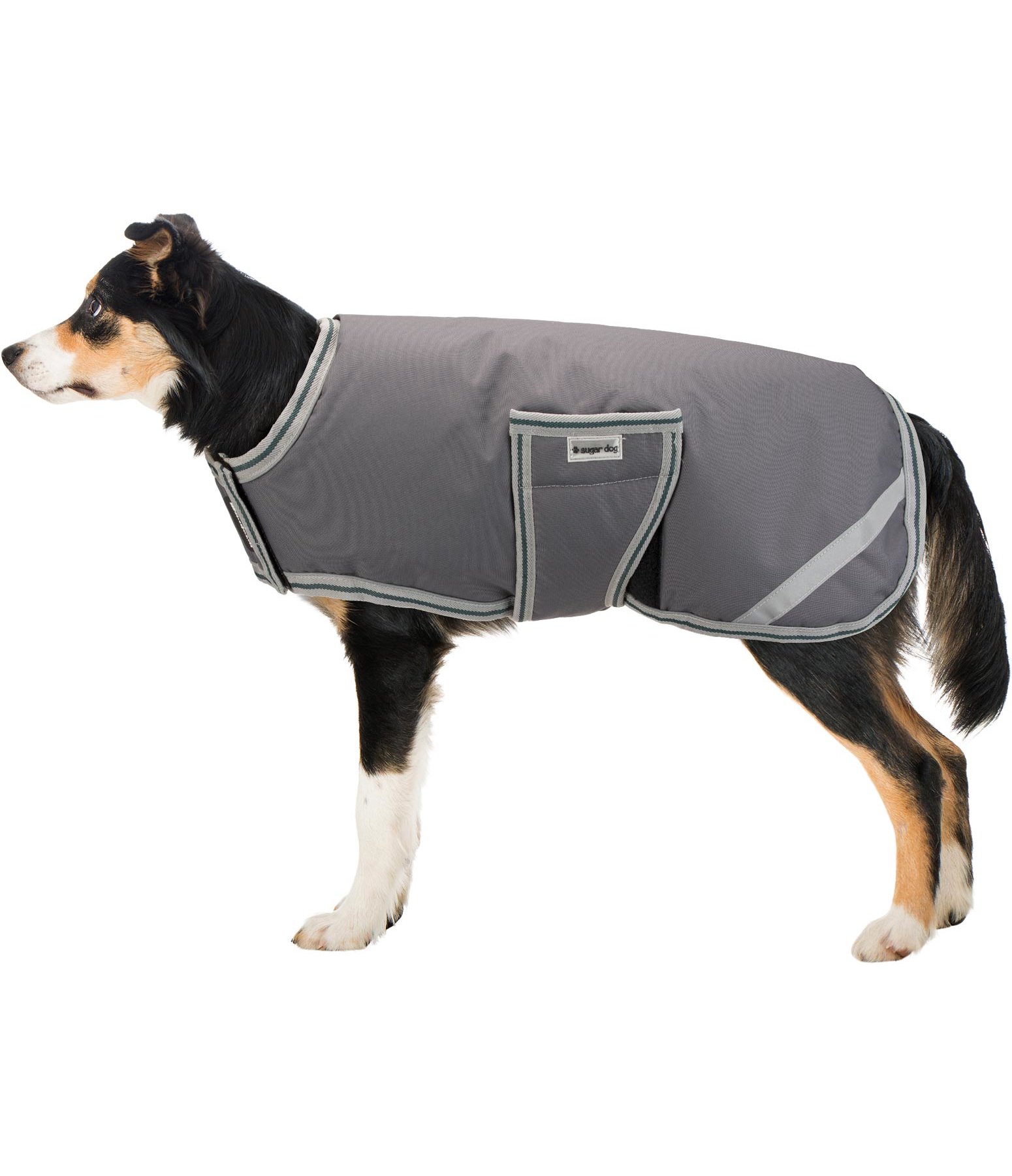 Dog Coat 817